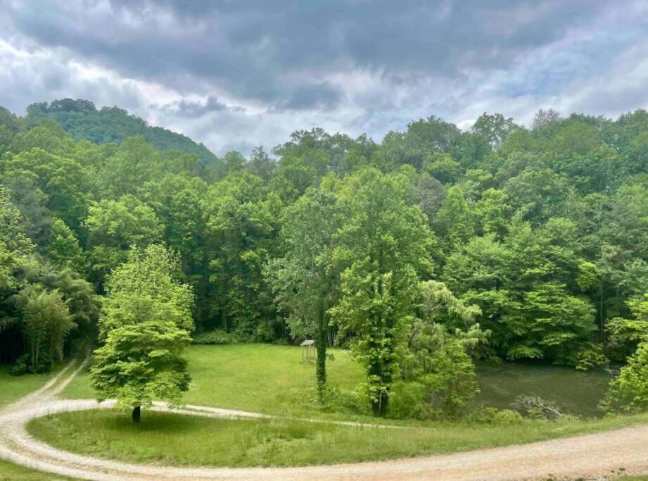 Photo 30