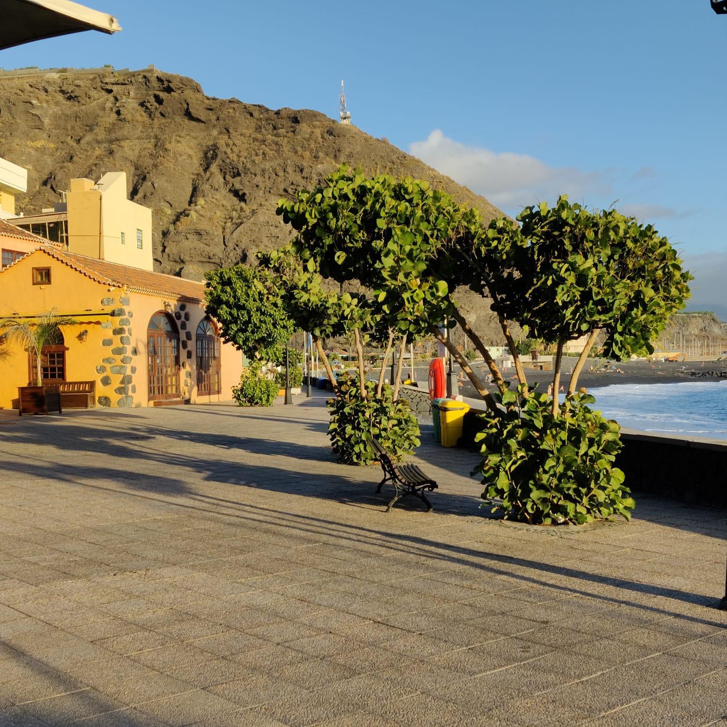 Dachterrassenwohnung Puerto Tazacorte
