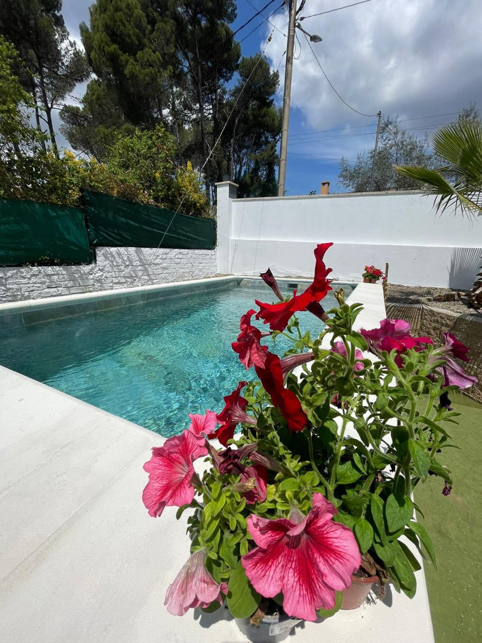 Casita rural con piscina photo 5