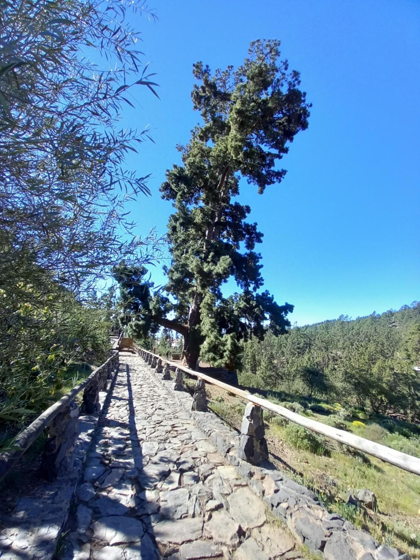Photo 42