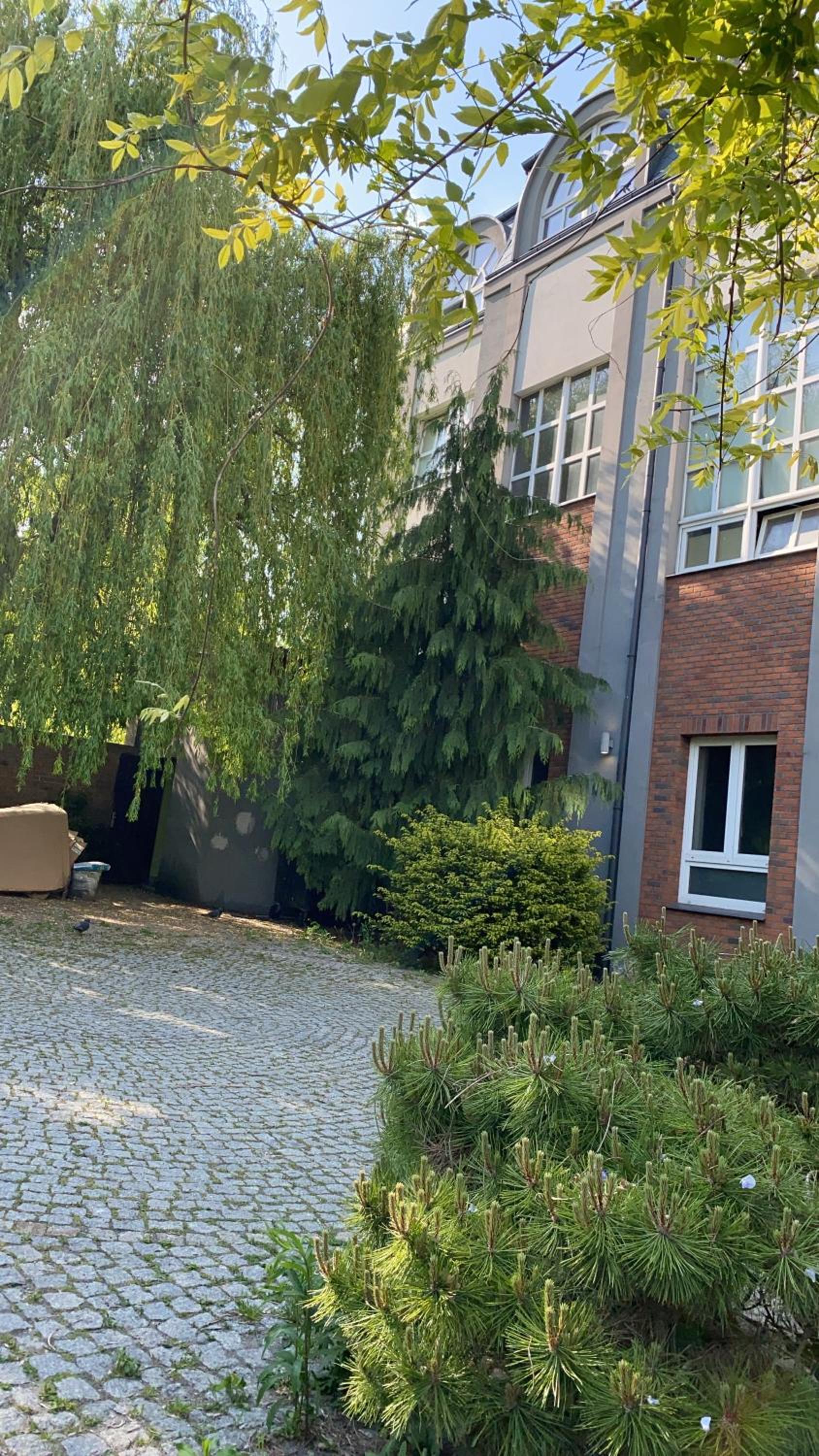 Photo 18