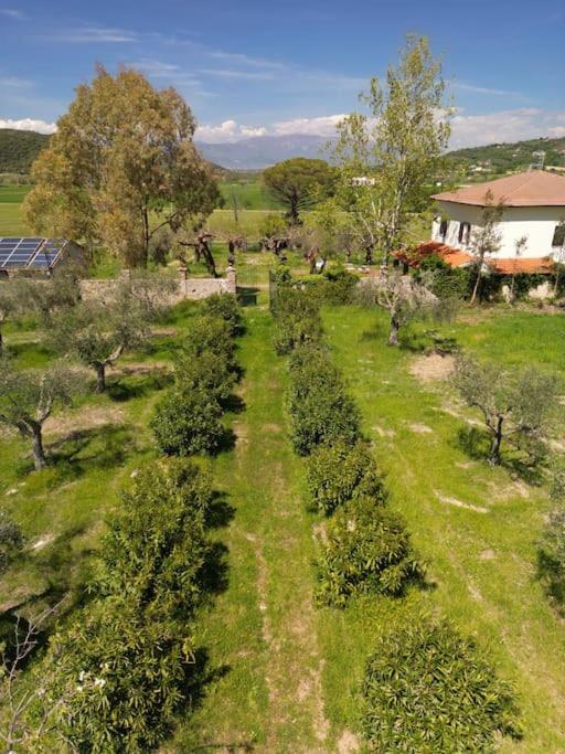 Photo 26