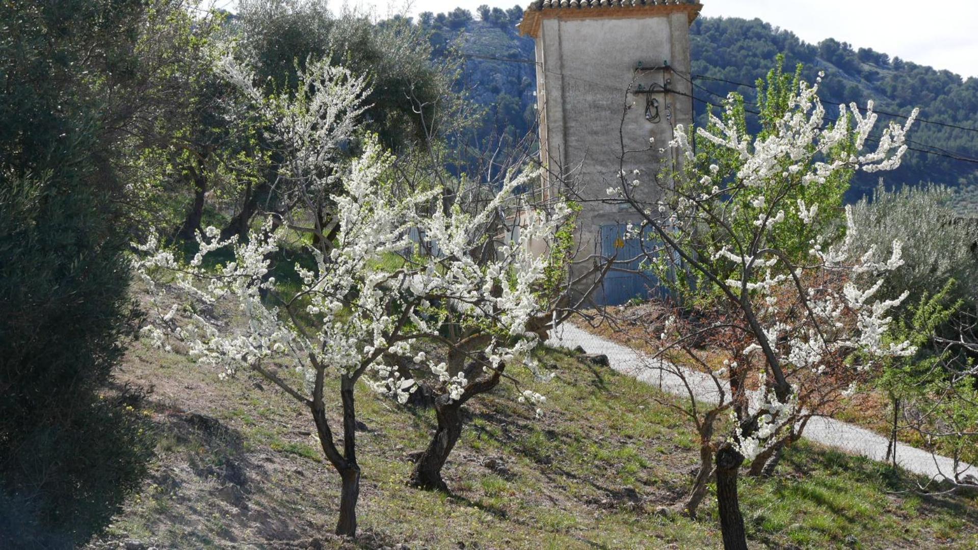 Cortijo Los Liñanes rural con chimenea, barbacoa y vistas