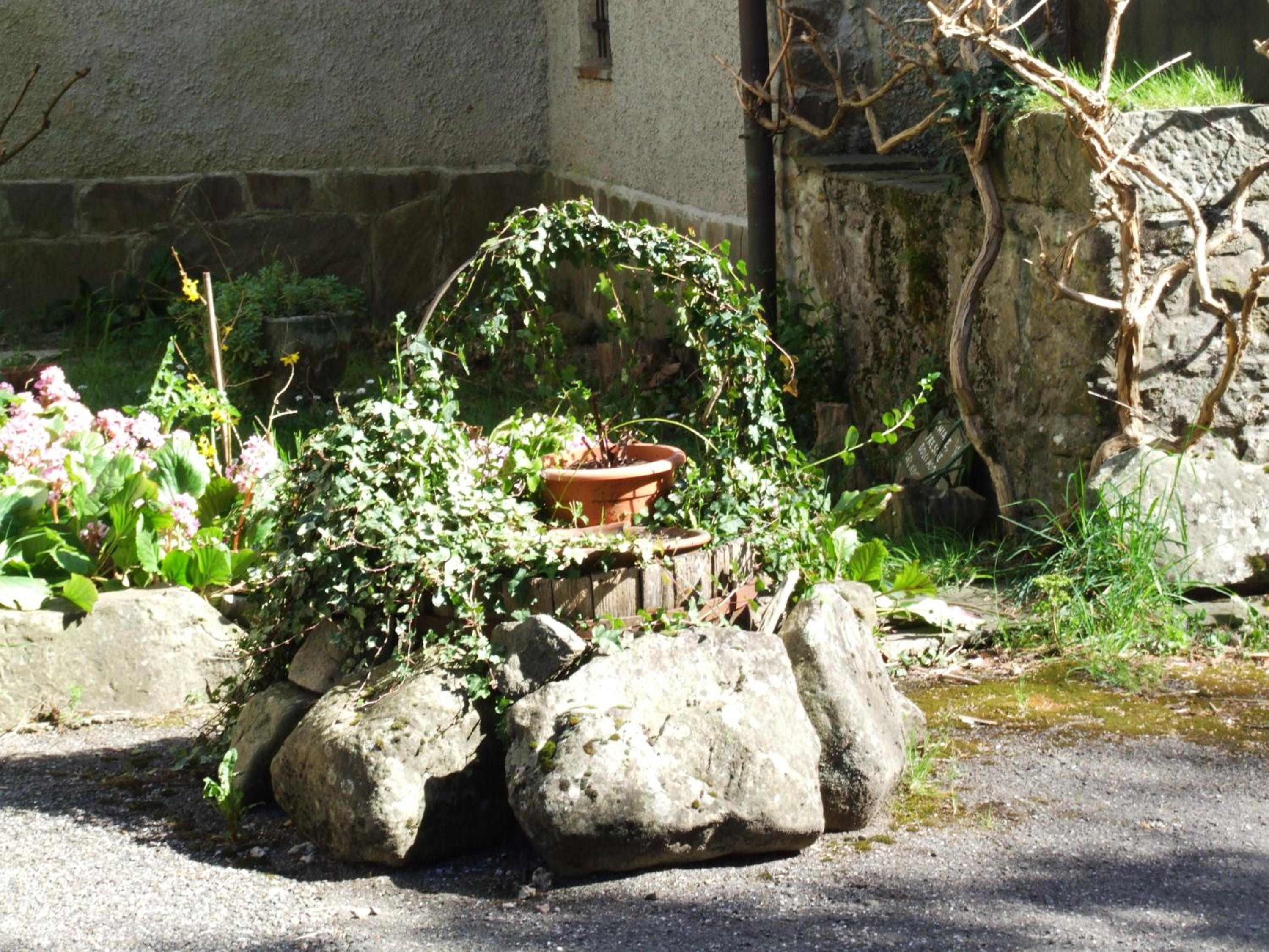 Photo 42