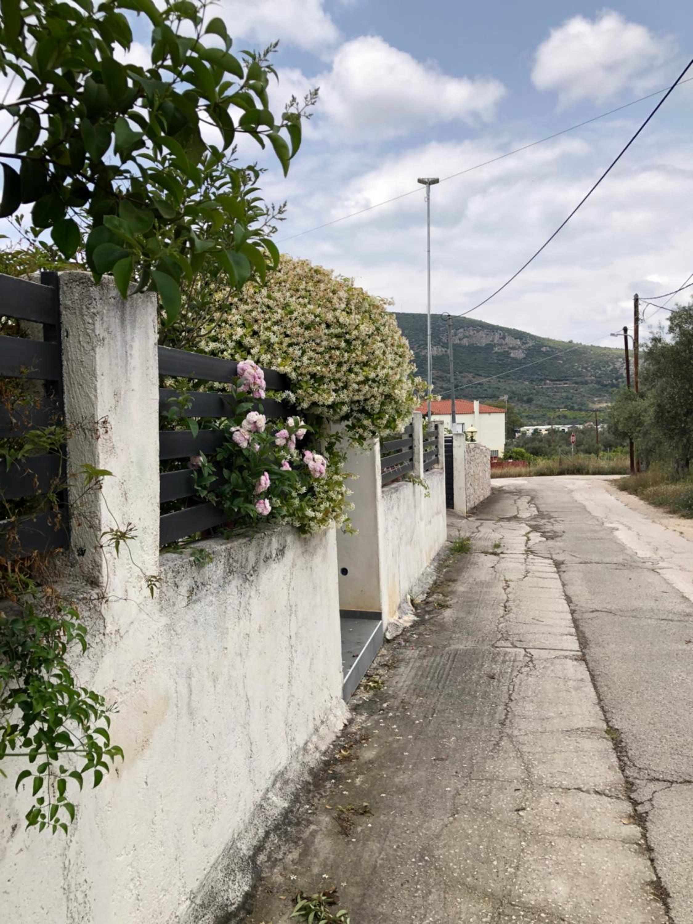 adonia villa