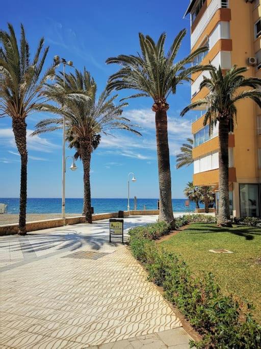 Estudio Algarrobo Costa