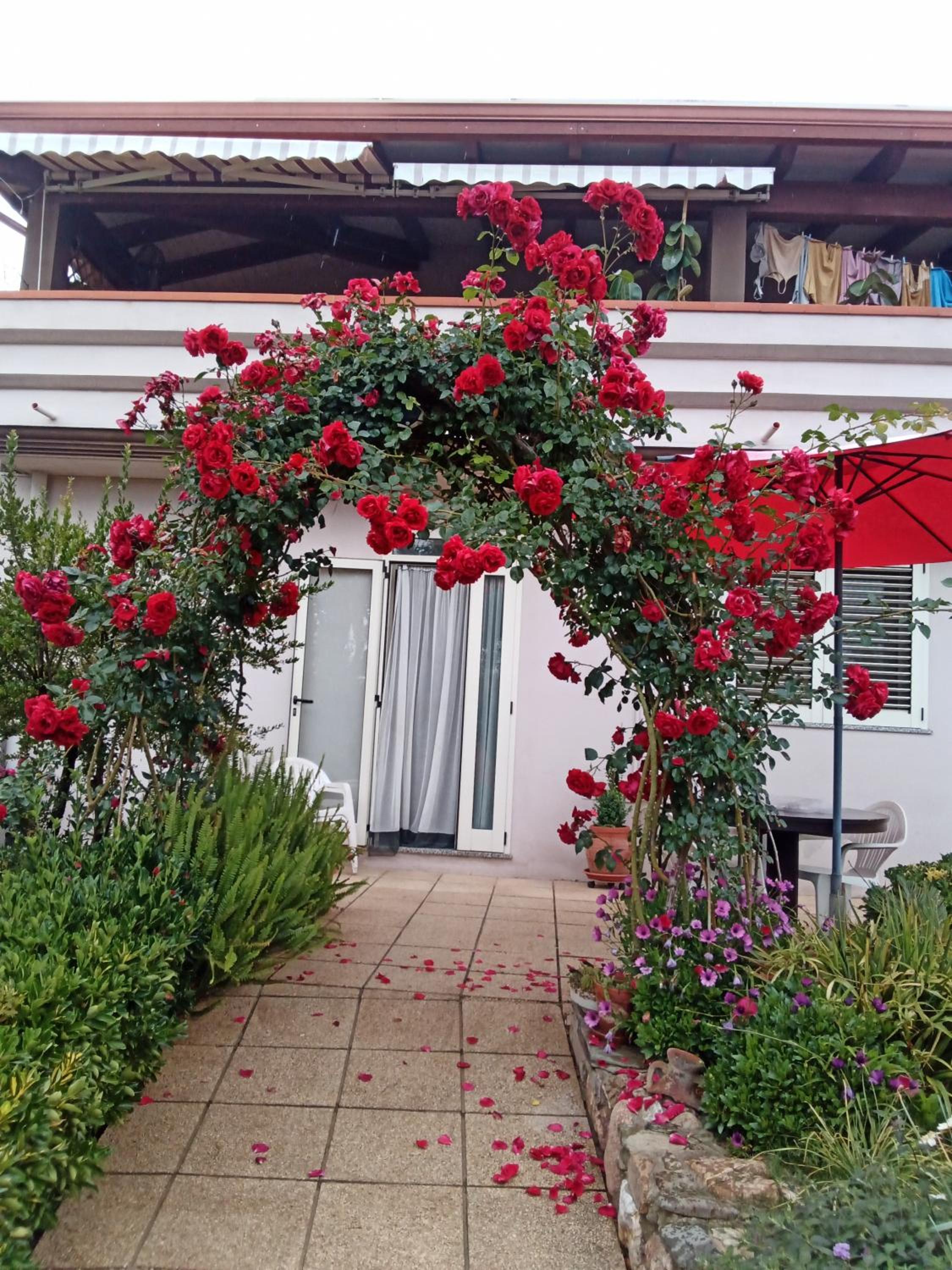 B&B Kazakova, photo 39