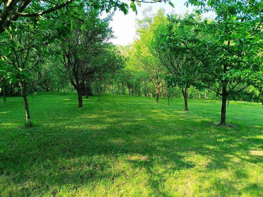 Vacation house Green Heaven view 2