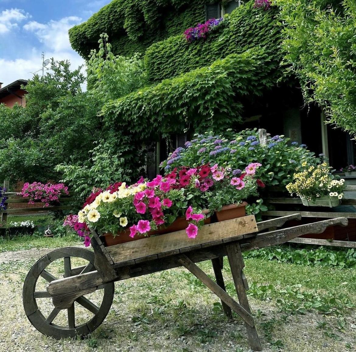 Agriturismo Cascina Selva view 4