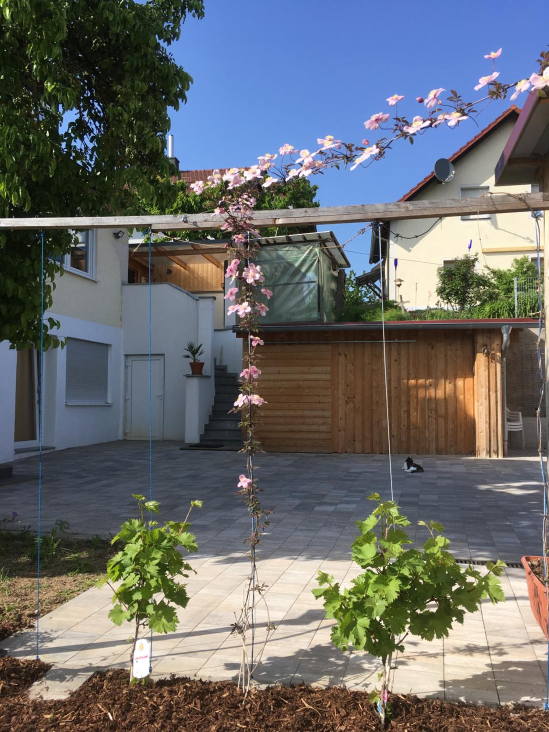 Ferienwohnung in Wiesent-gerne Handwerker/Monteure - Property Image 21
