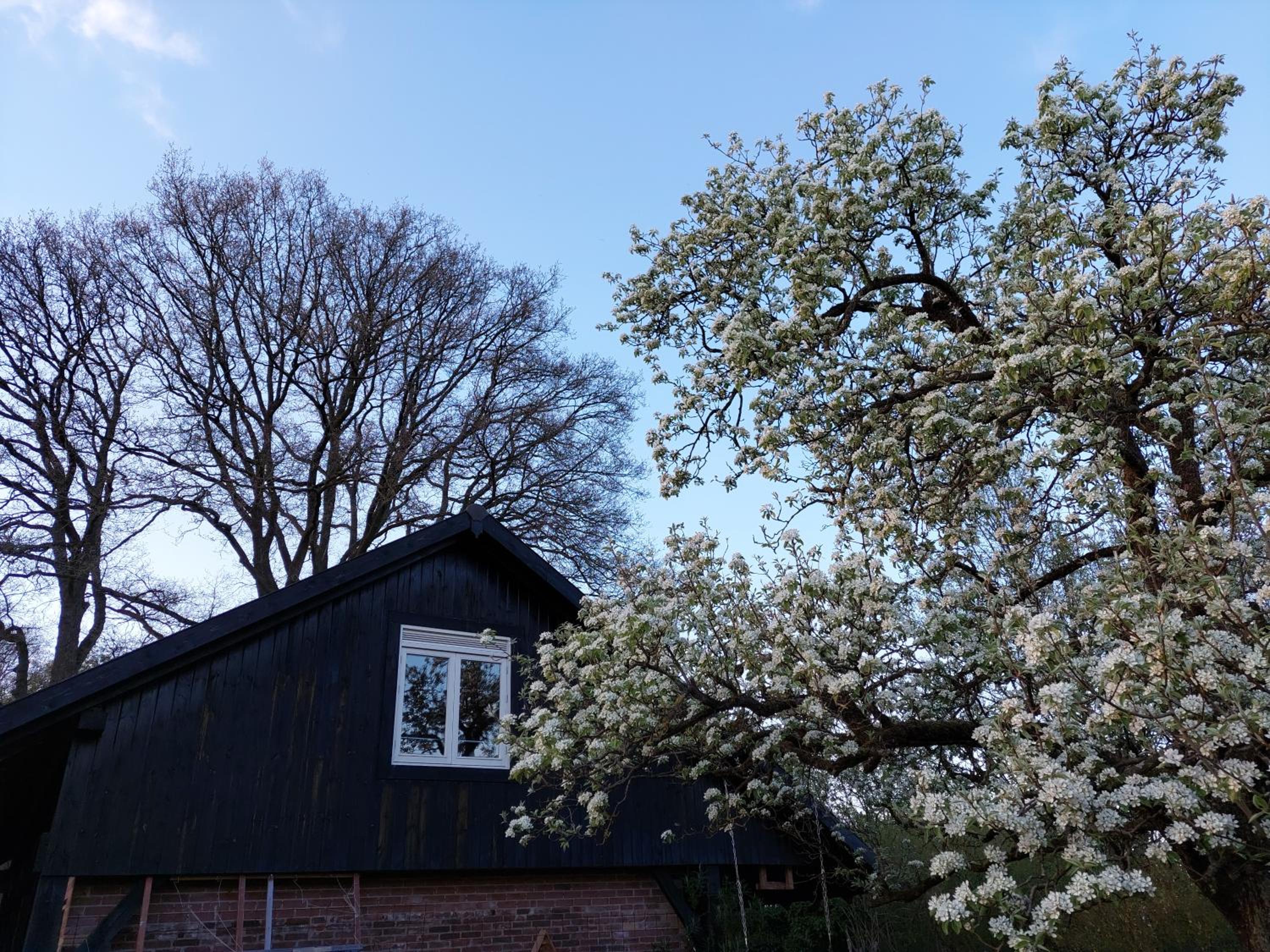 Vakantie Appartement Klavertje 4 in Laren Gld