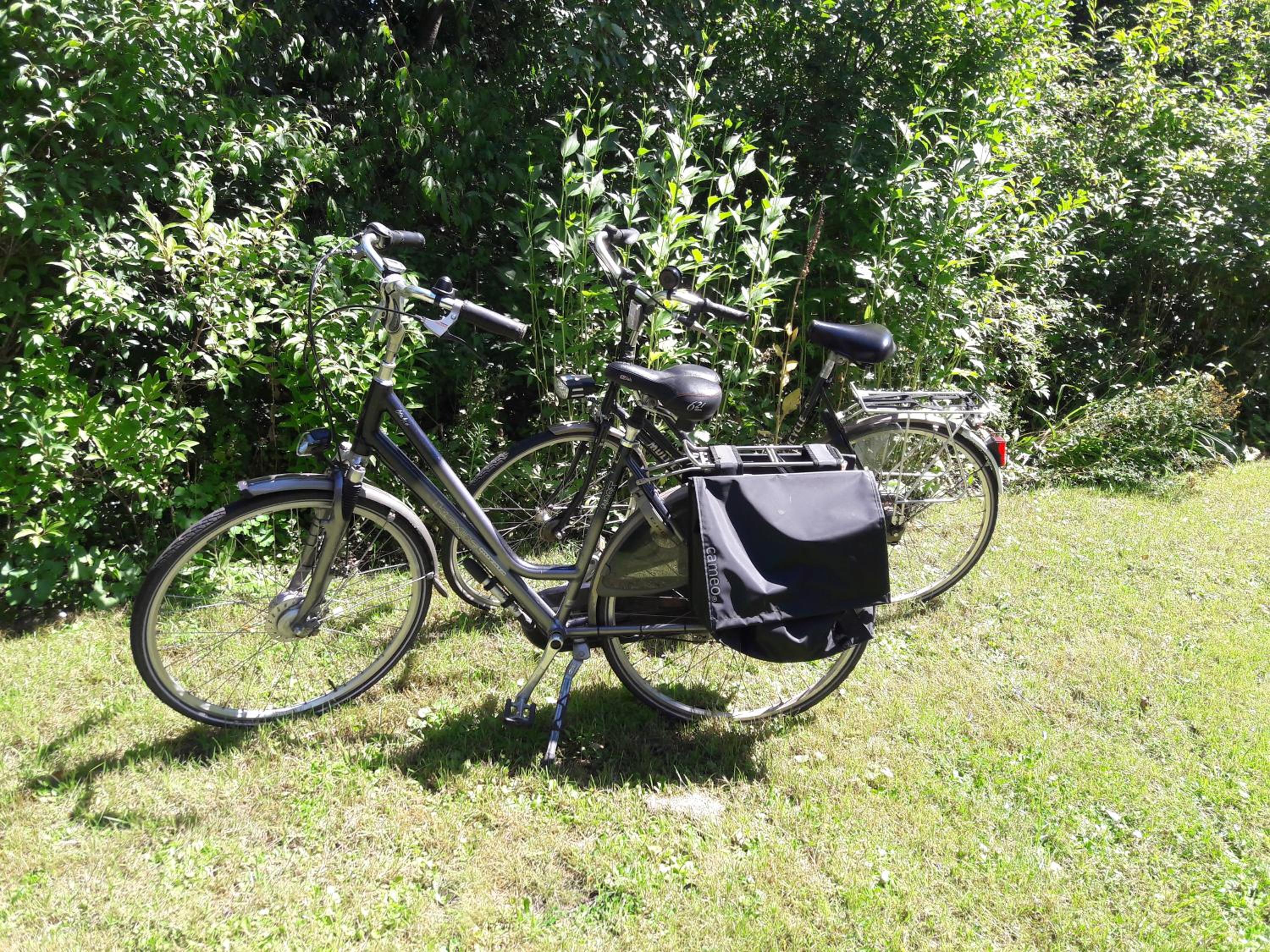 Vakantie Appartement Klavertje 4 in Laren Gld