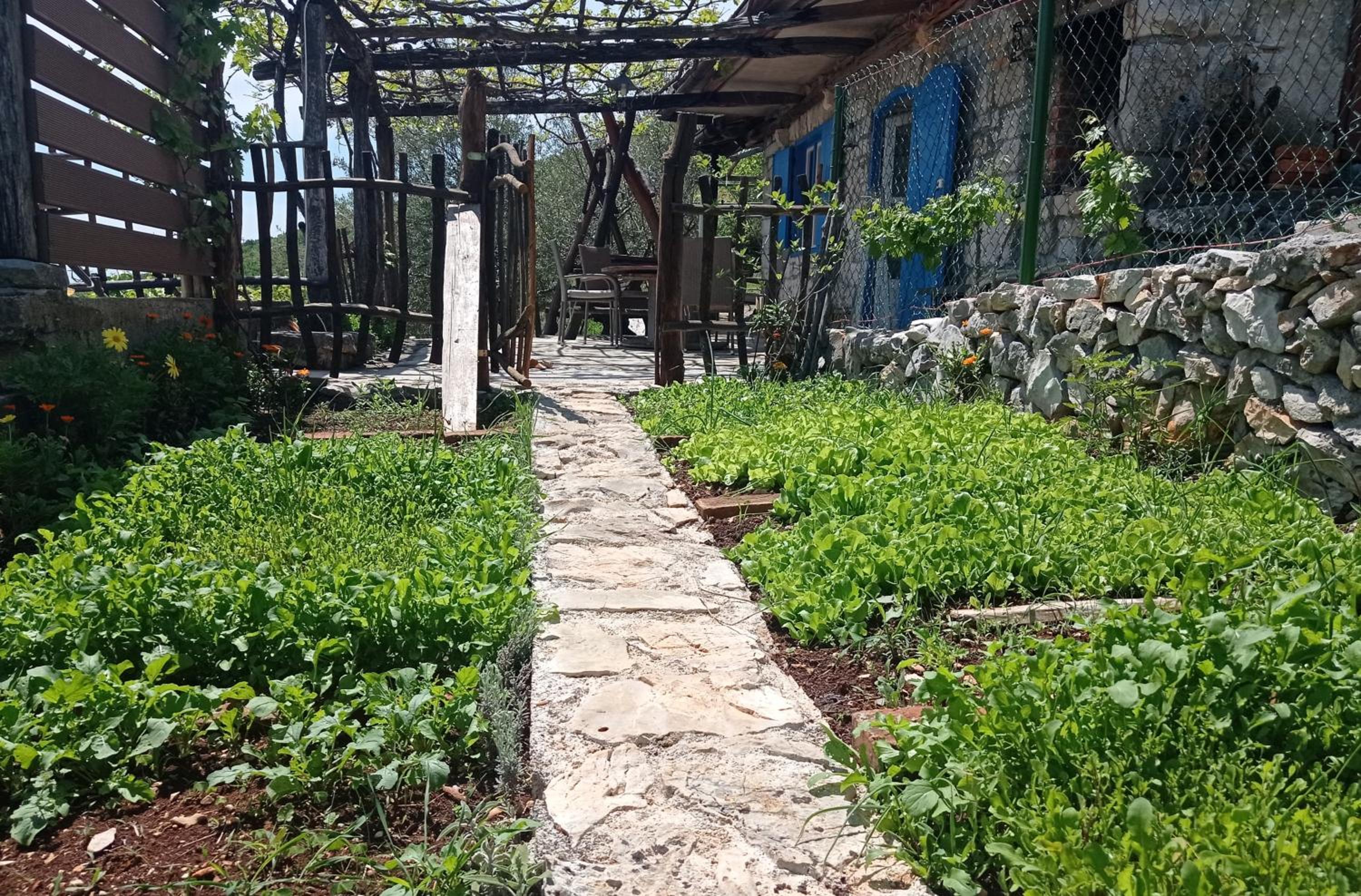 Casa Delle Olive view 2