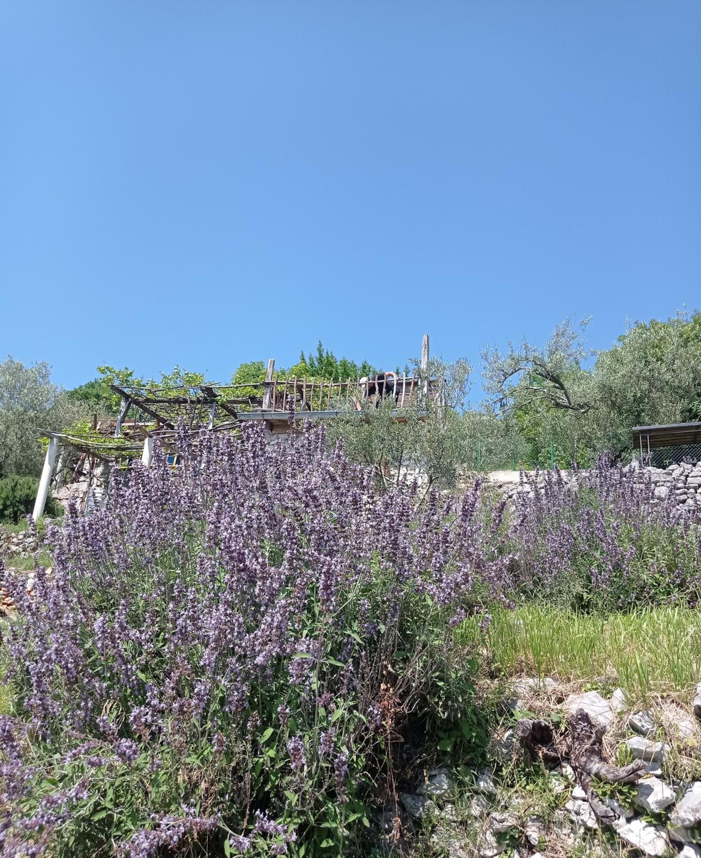 Casa Delle Olive view 3