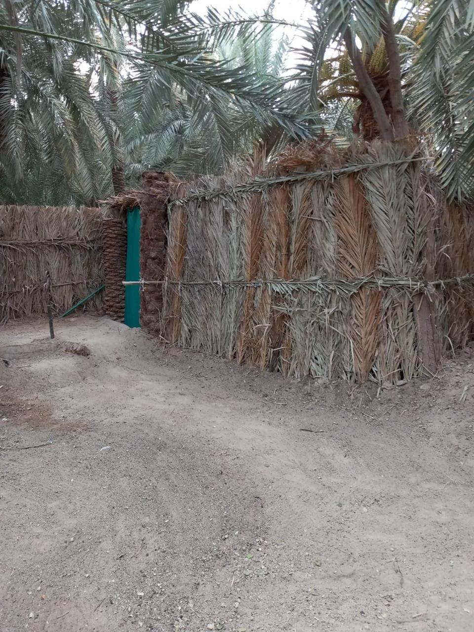 Forest Camp Siwa - كامب الغابة
