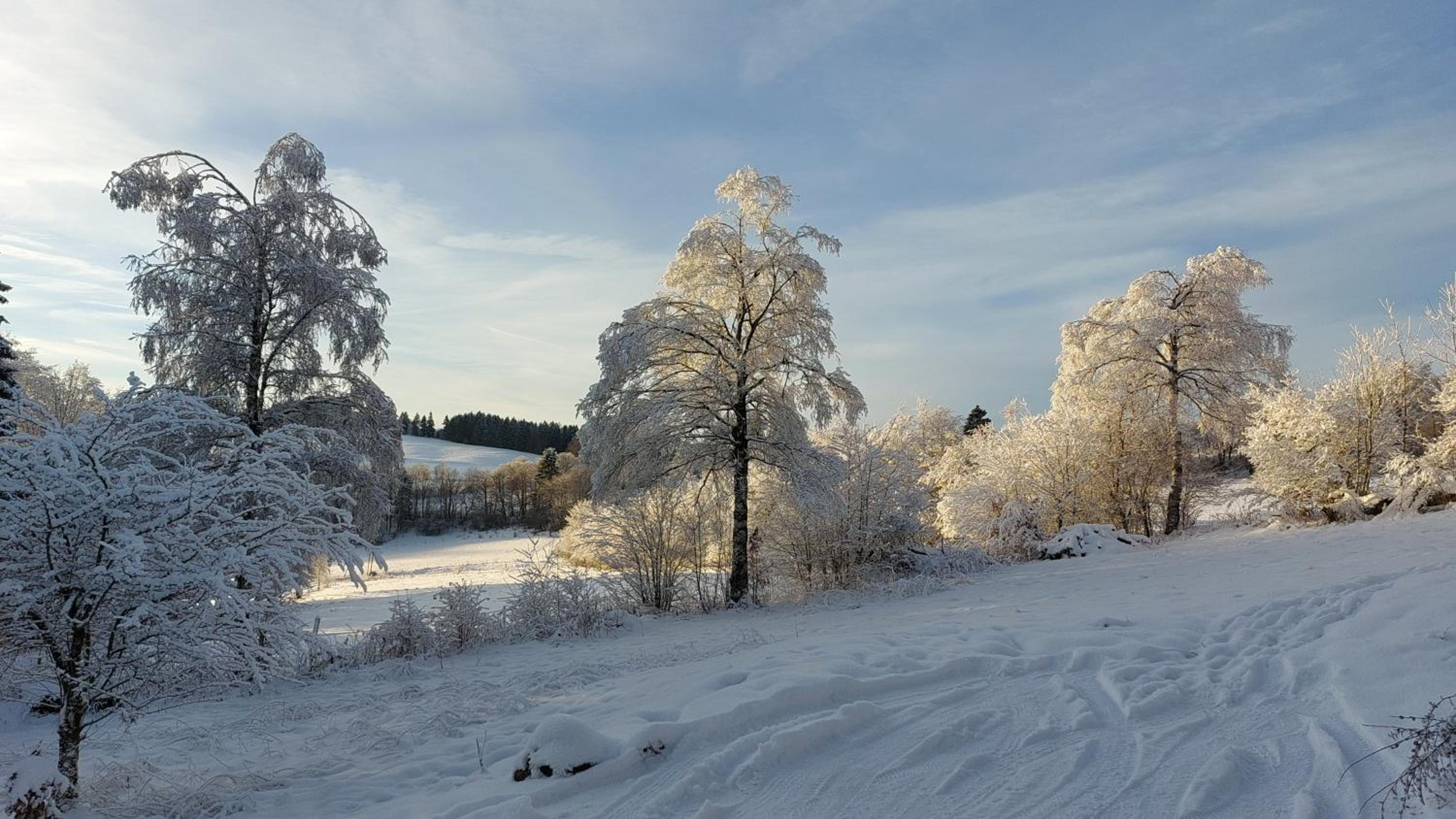 Jagdhaus in der Rhön in völliger Alleinlage