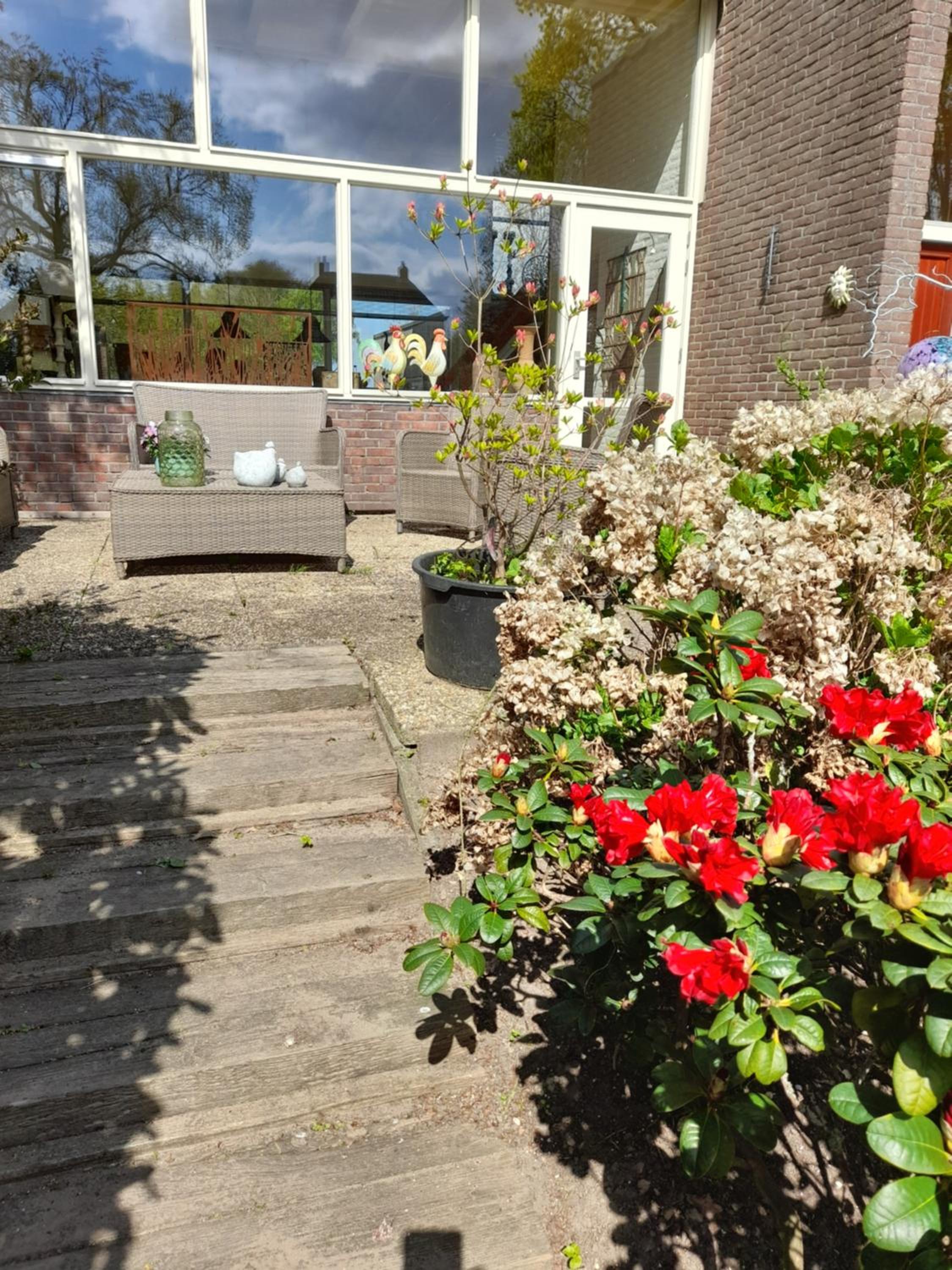 Vakantie Accommodatie Egelantier