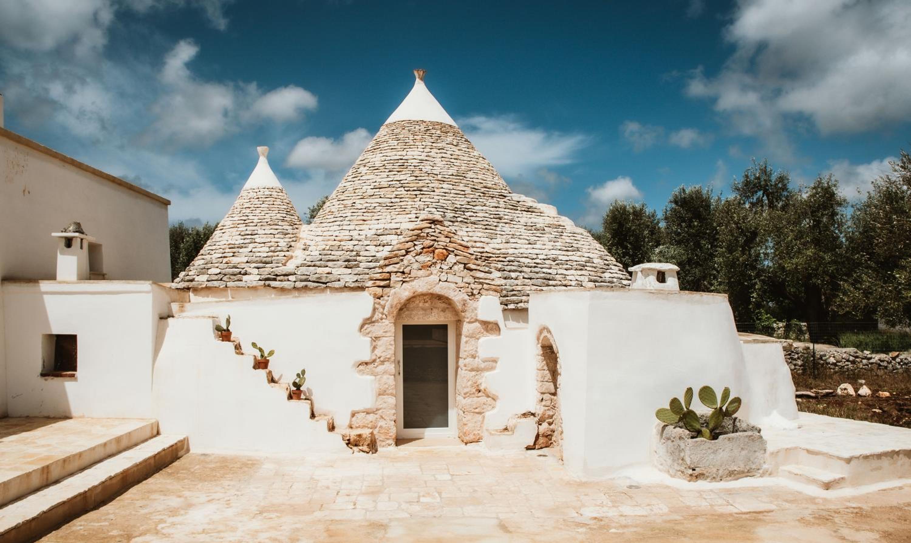 Photo 113