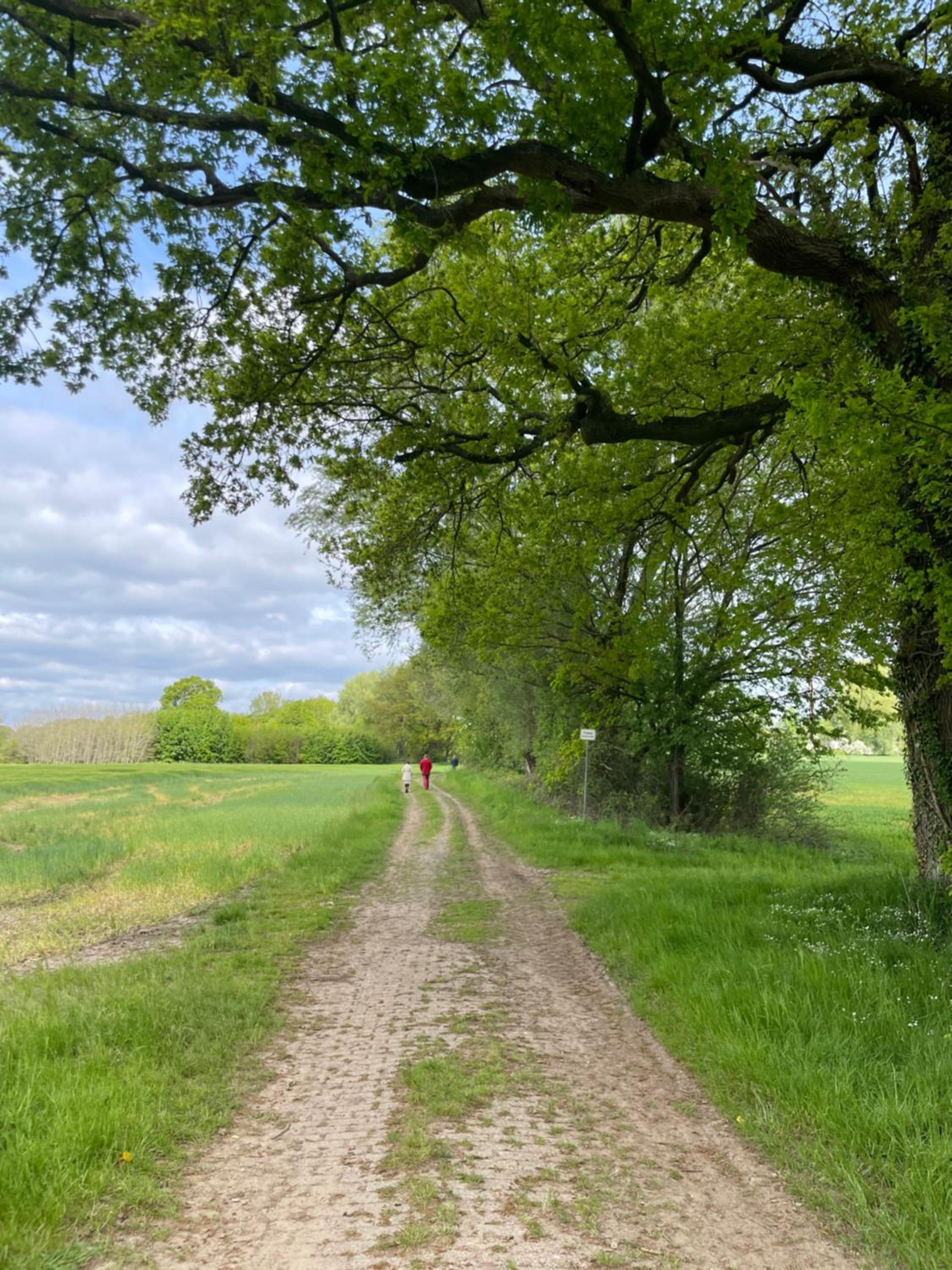 Luxus Lindenhof Apartments -Ferienwohnungen in Friesland an der Nordsee am Naturschutzgebiet Urwald