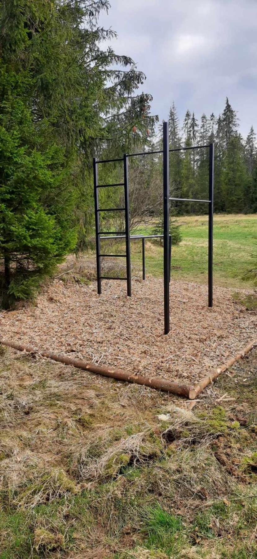 Photo 7