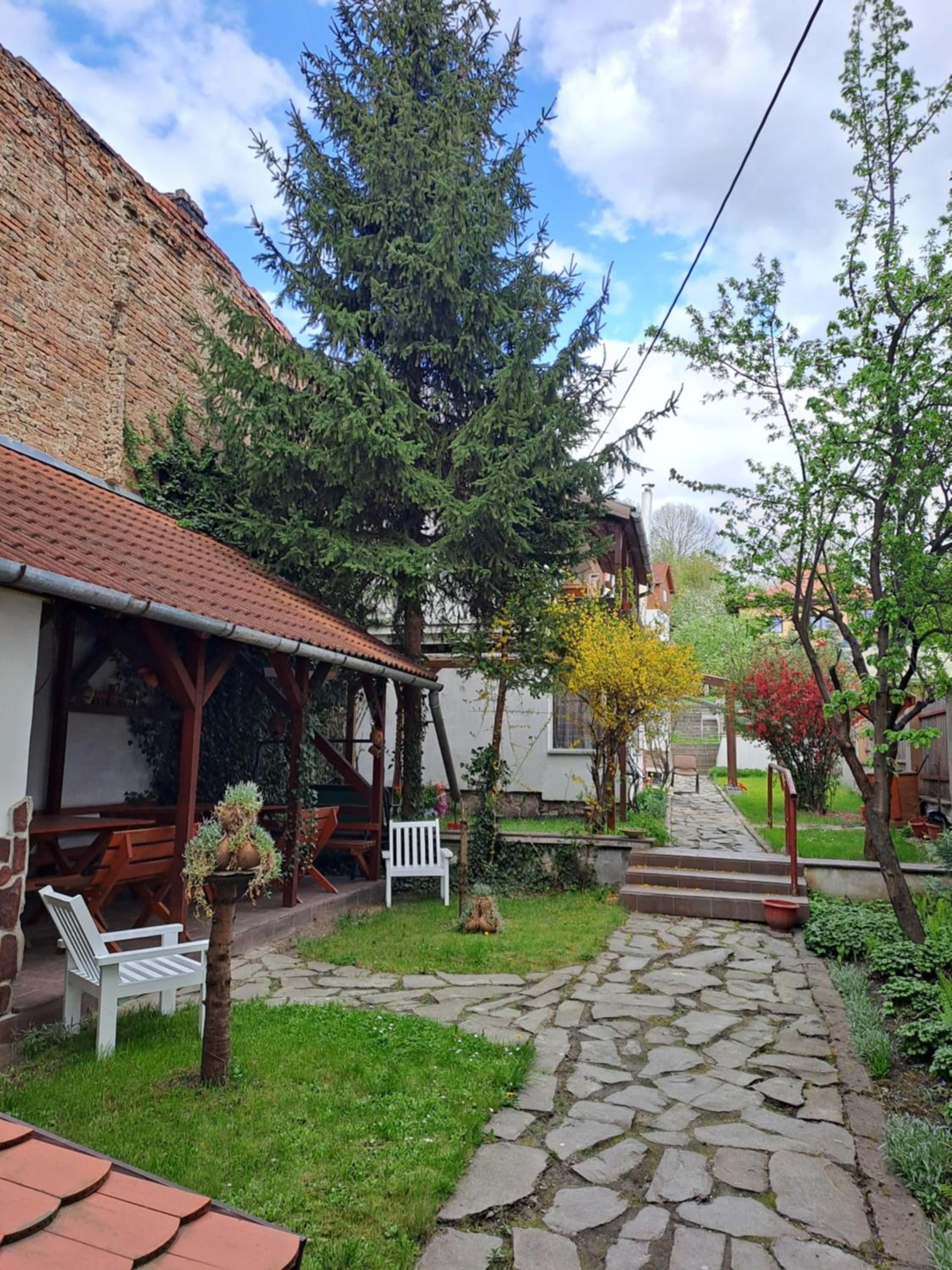 Photo 31