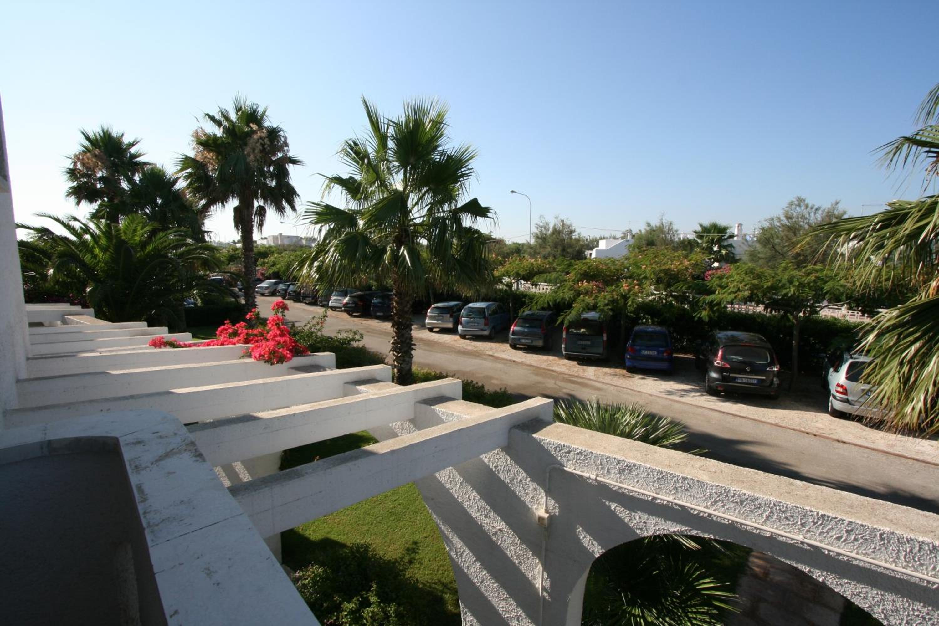 Photo 42