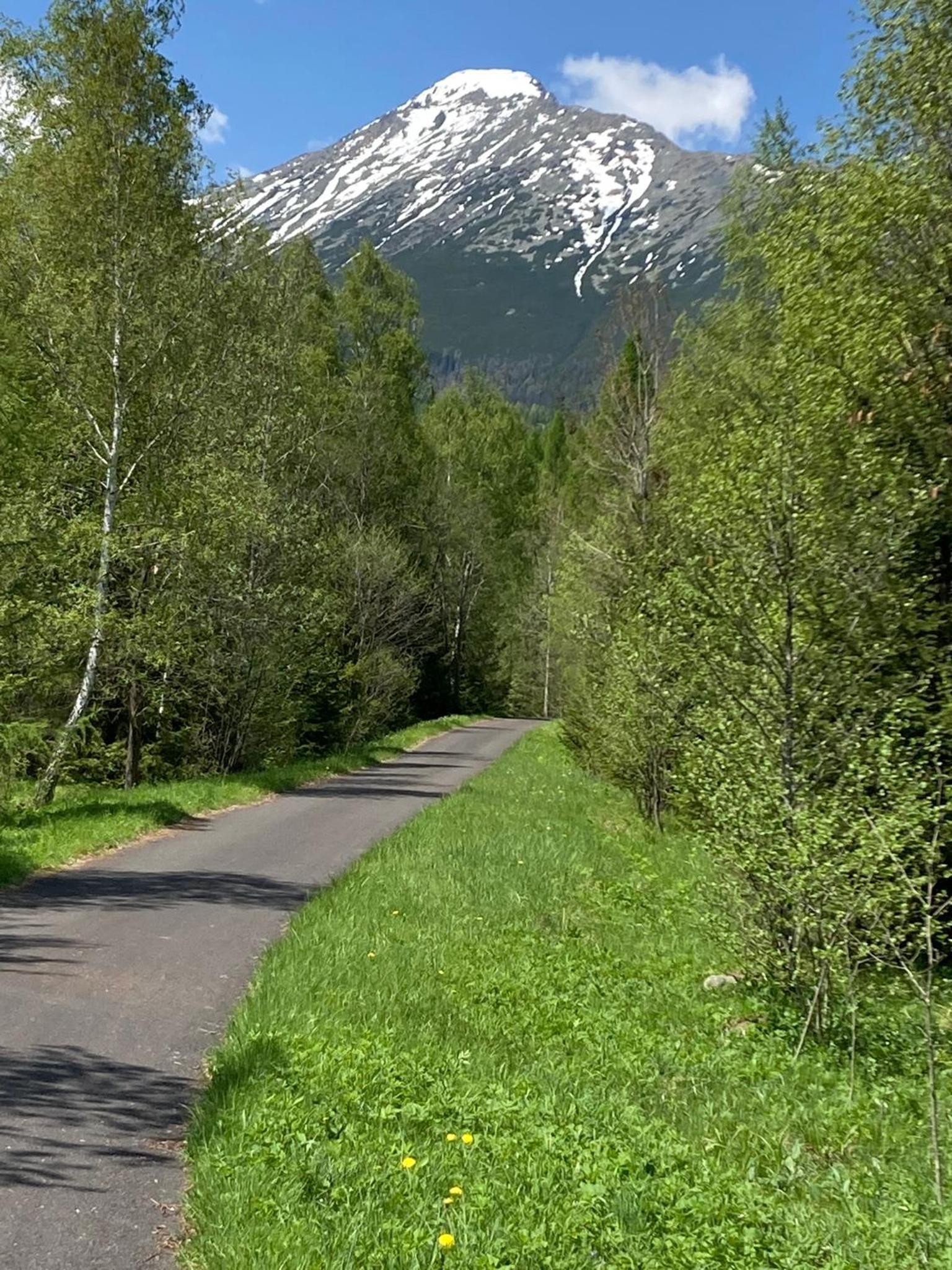 Photo 38