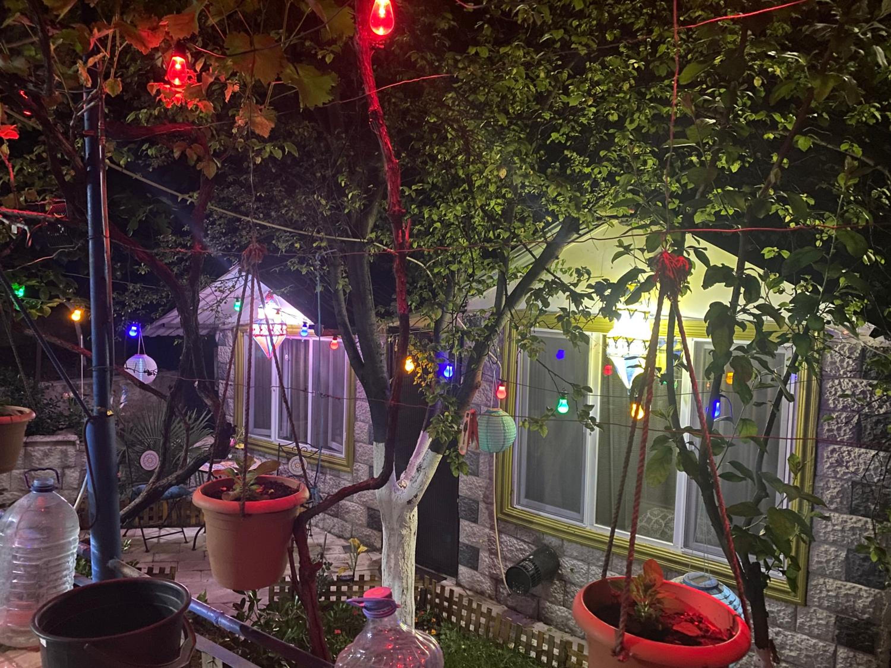 Photo 17
