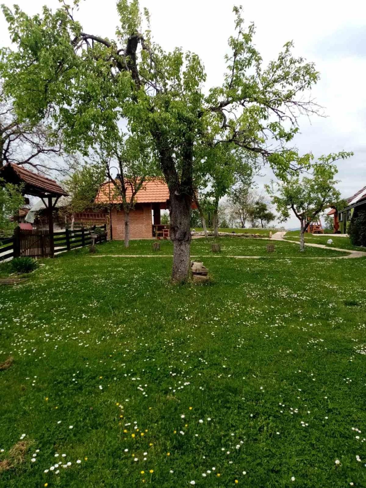 Photo 27