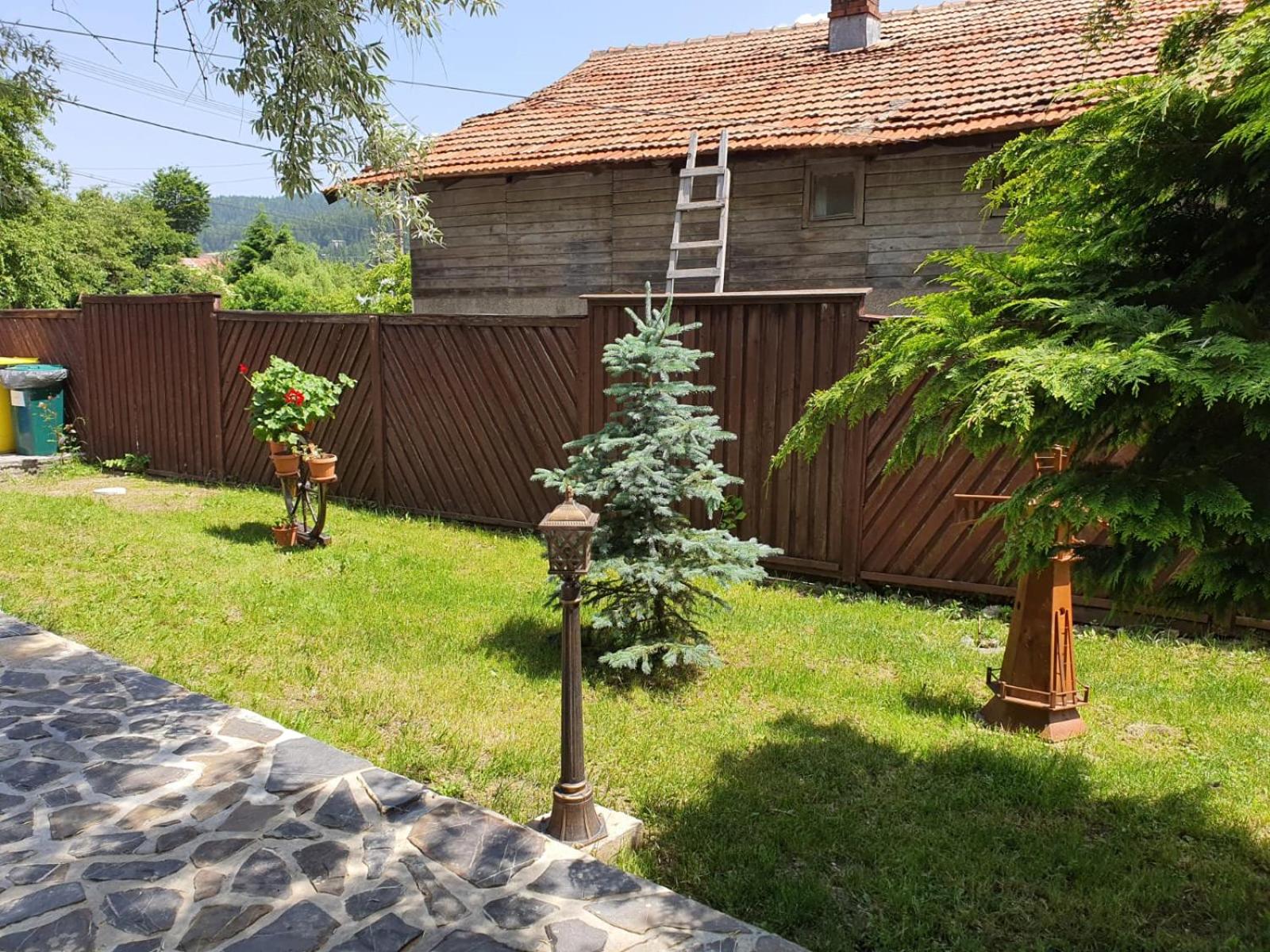 Photo 46
