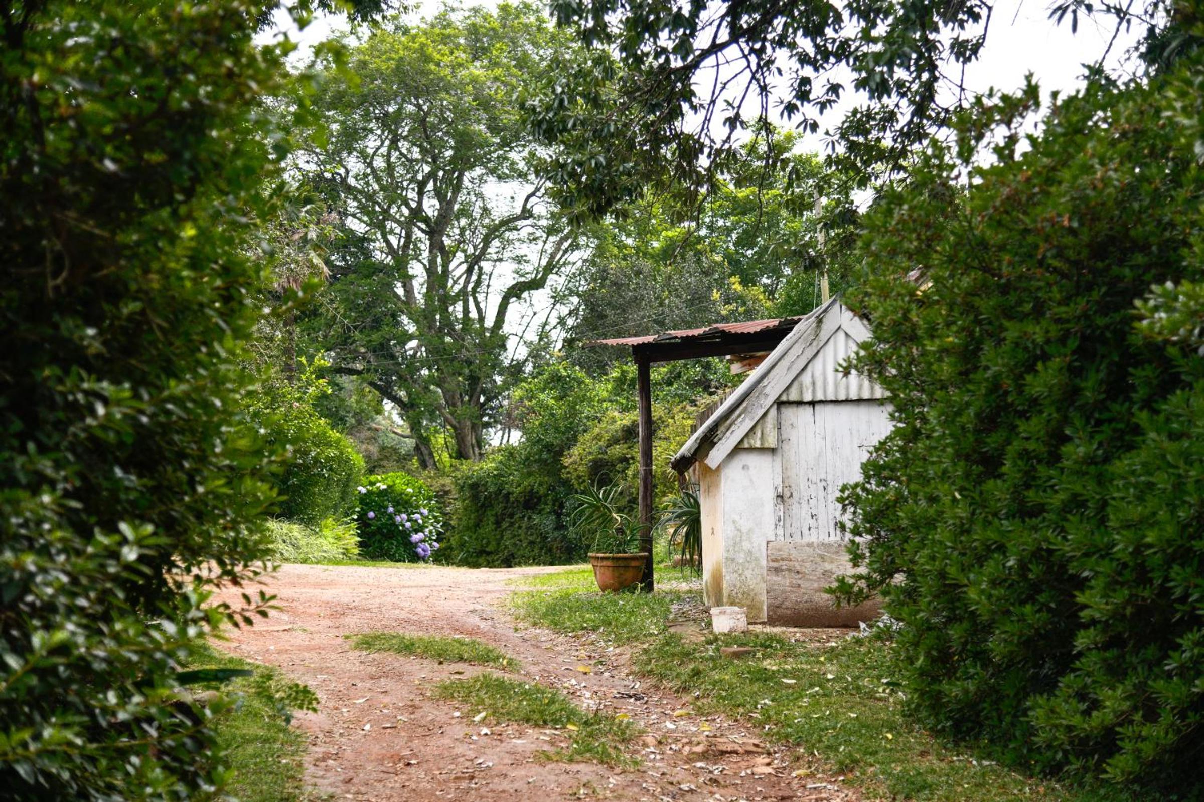 Photo 28