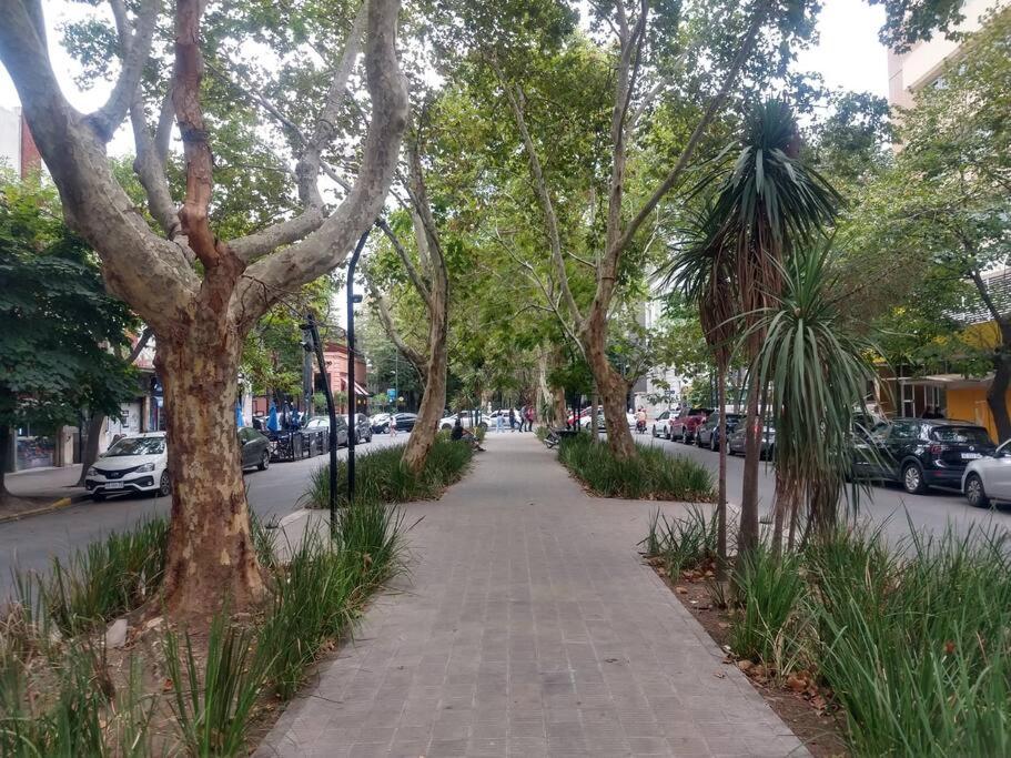 Hermoso departamento en La Plata Soho - Centro - Cochera Opcional