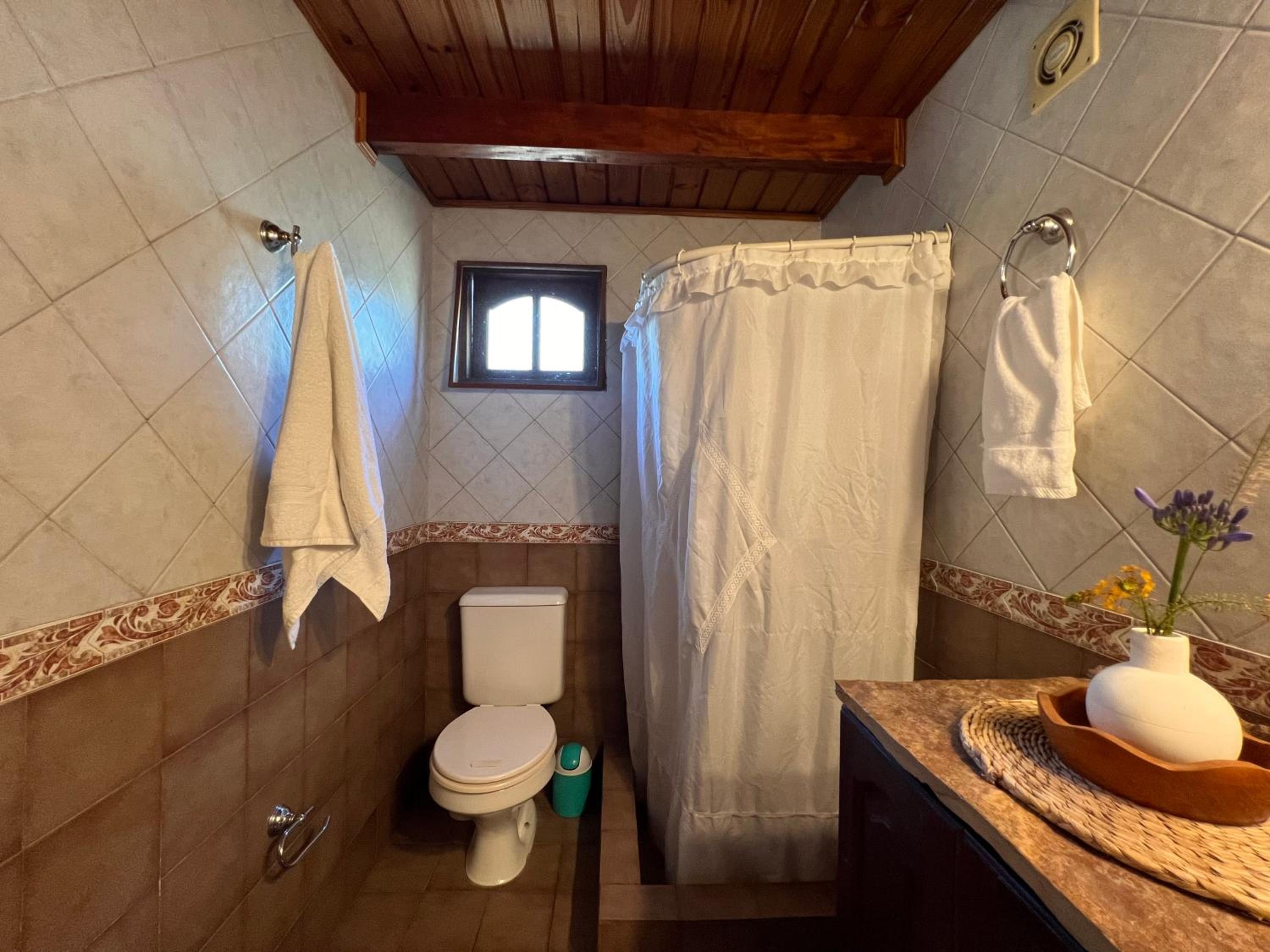 Los Plátanos cabañas & suites