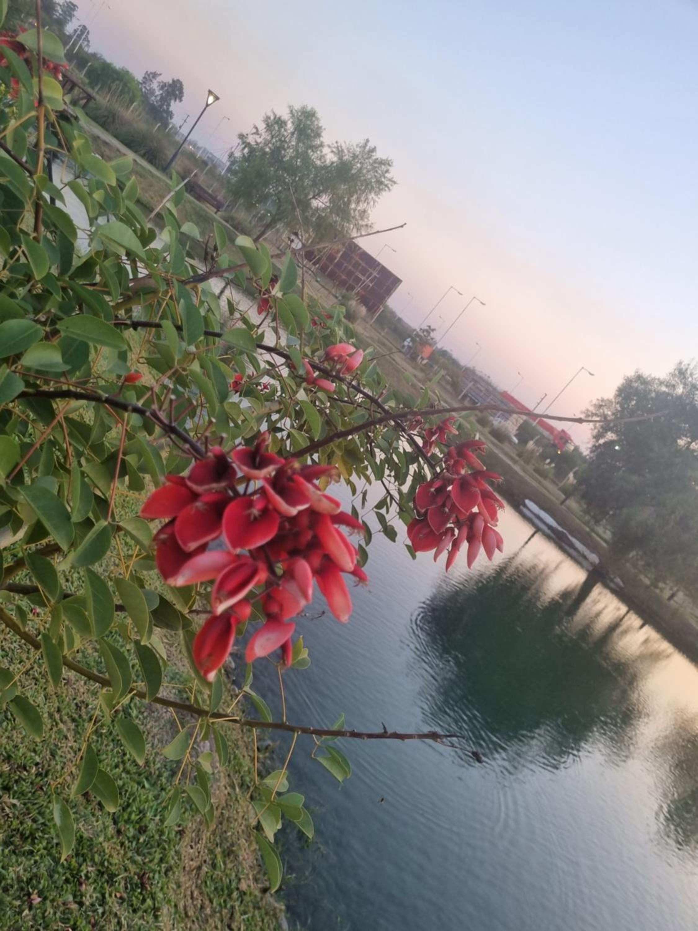 Naturaleza Termal