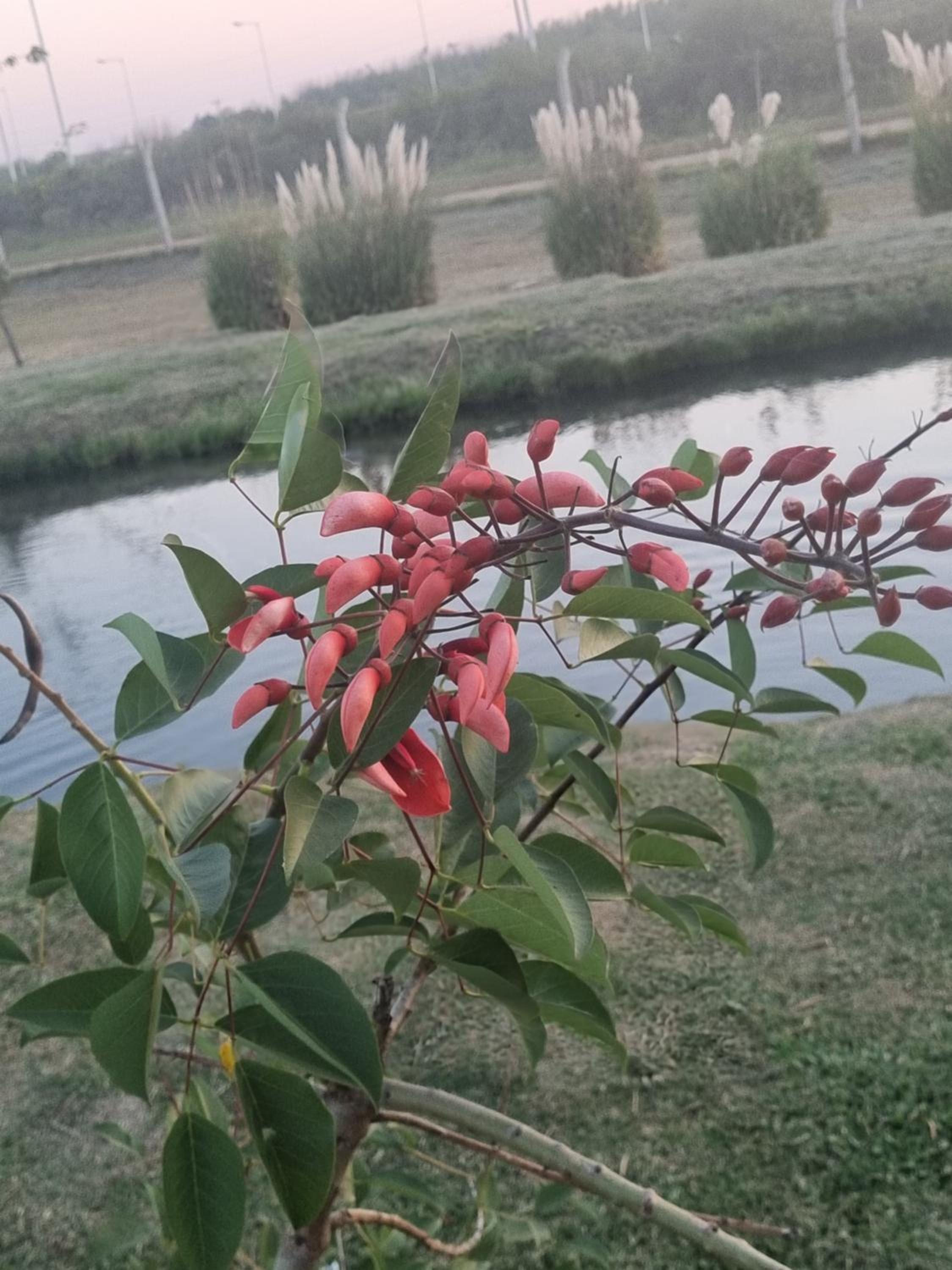 Naturaleza Termal