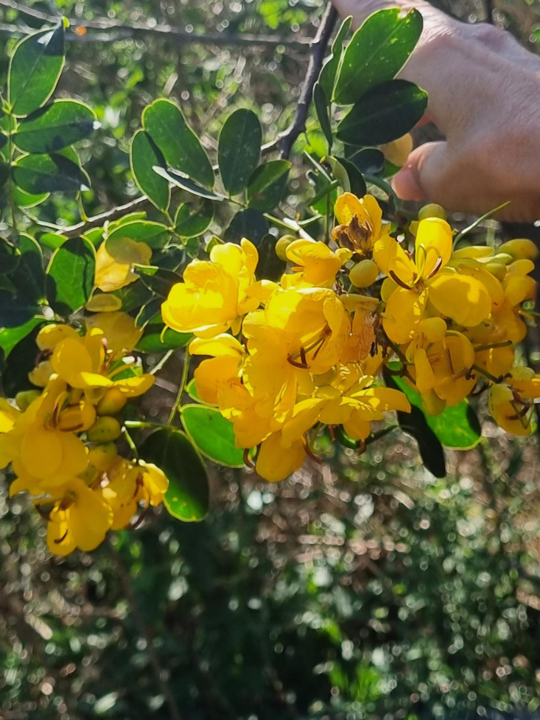 Naturaleza Termal