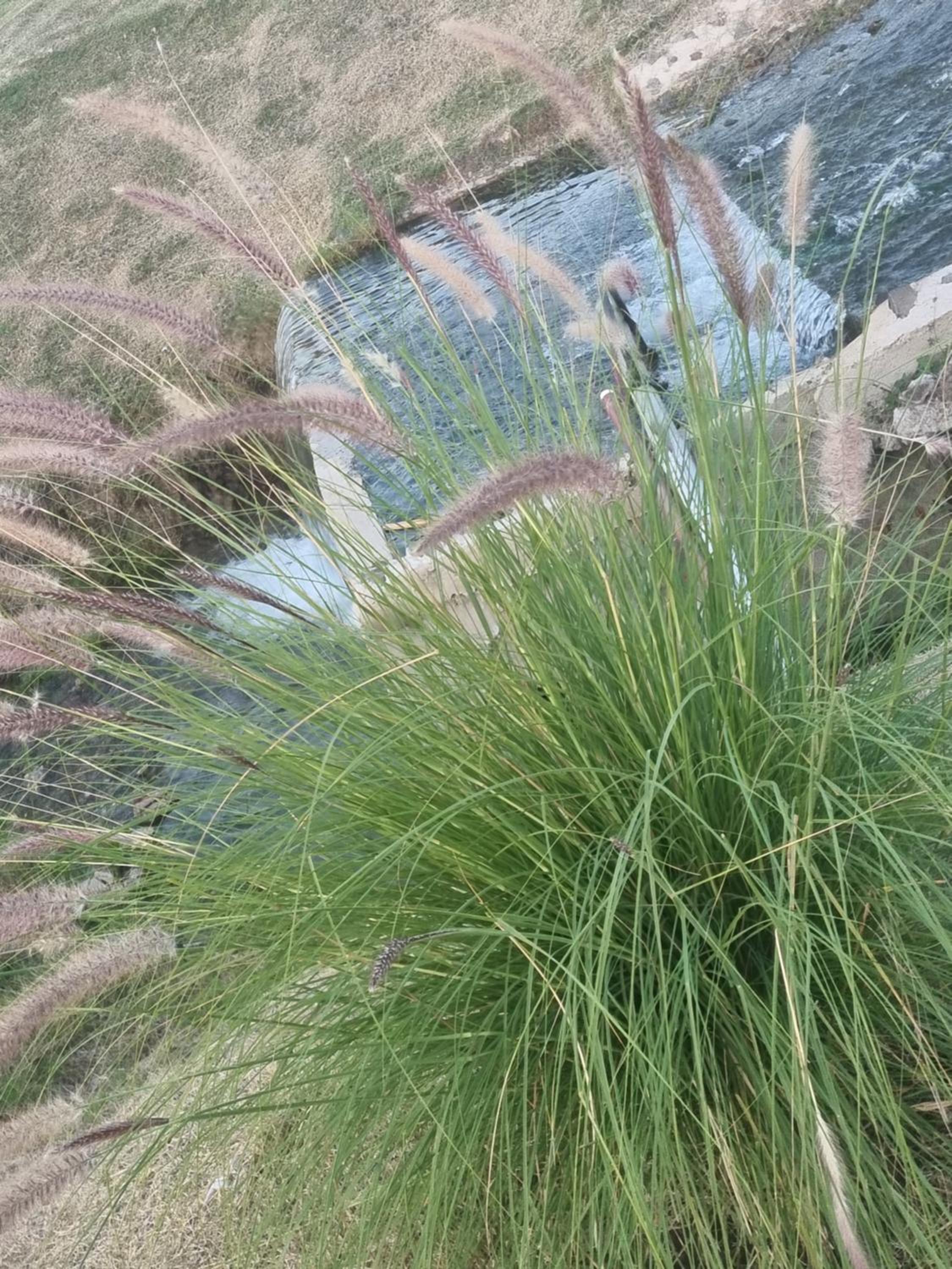 Naturaleza Termal