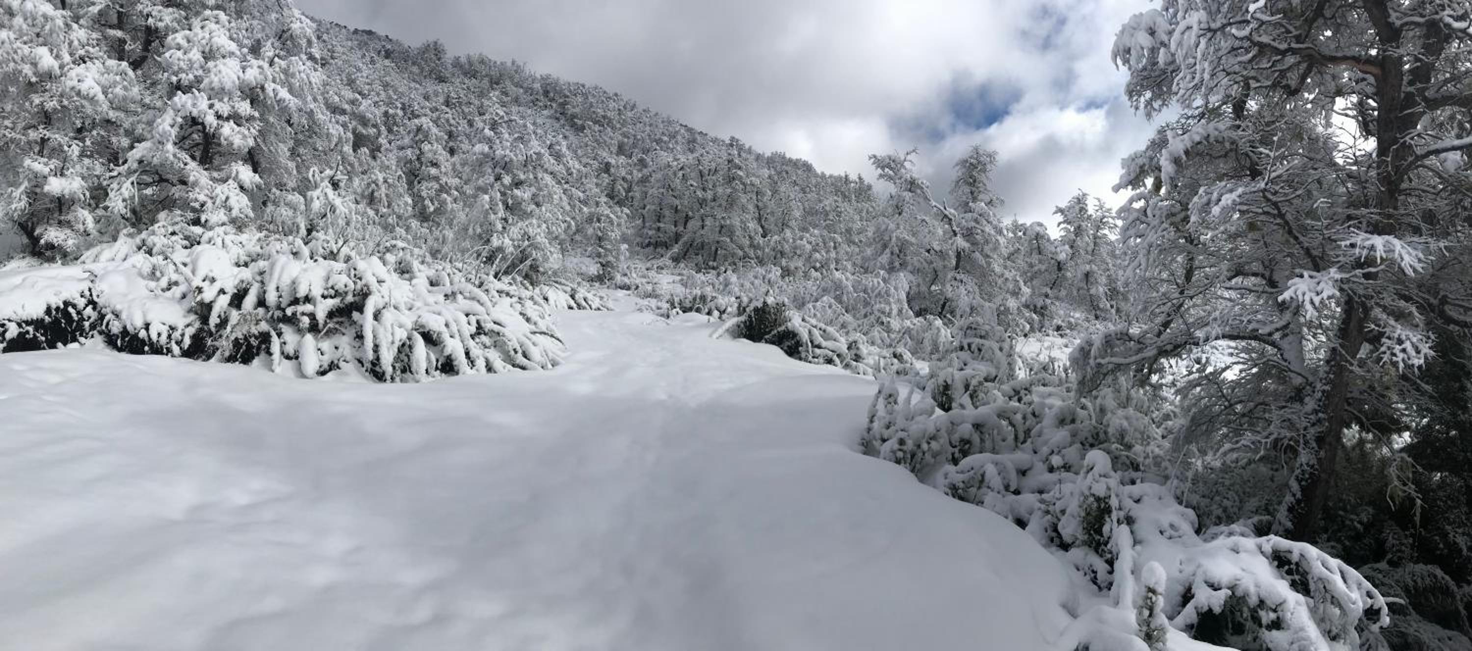 Malga Andina