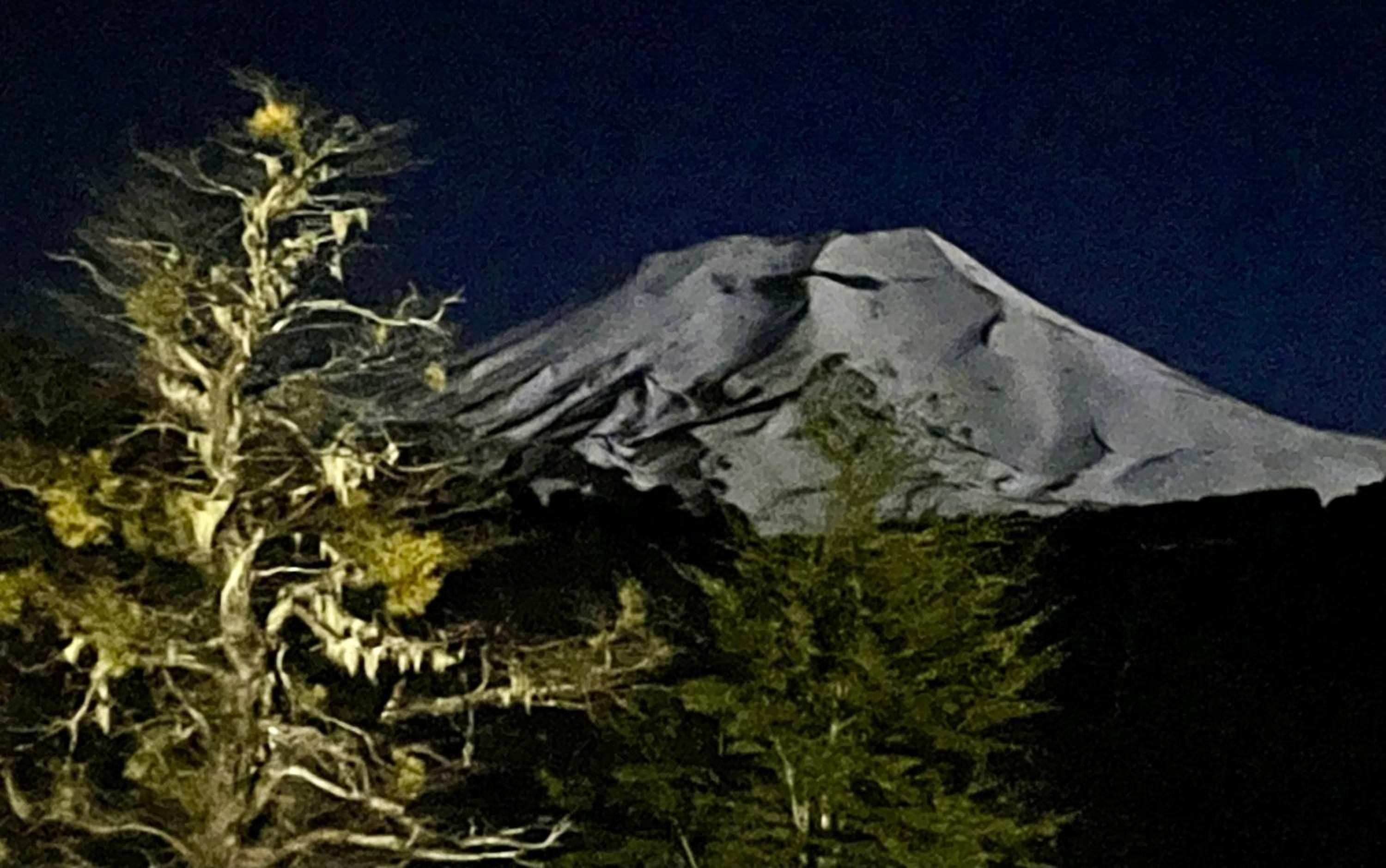 Malga Andina