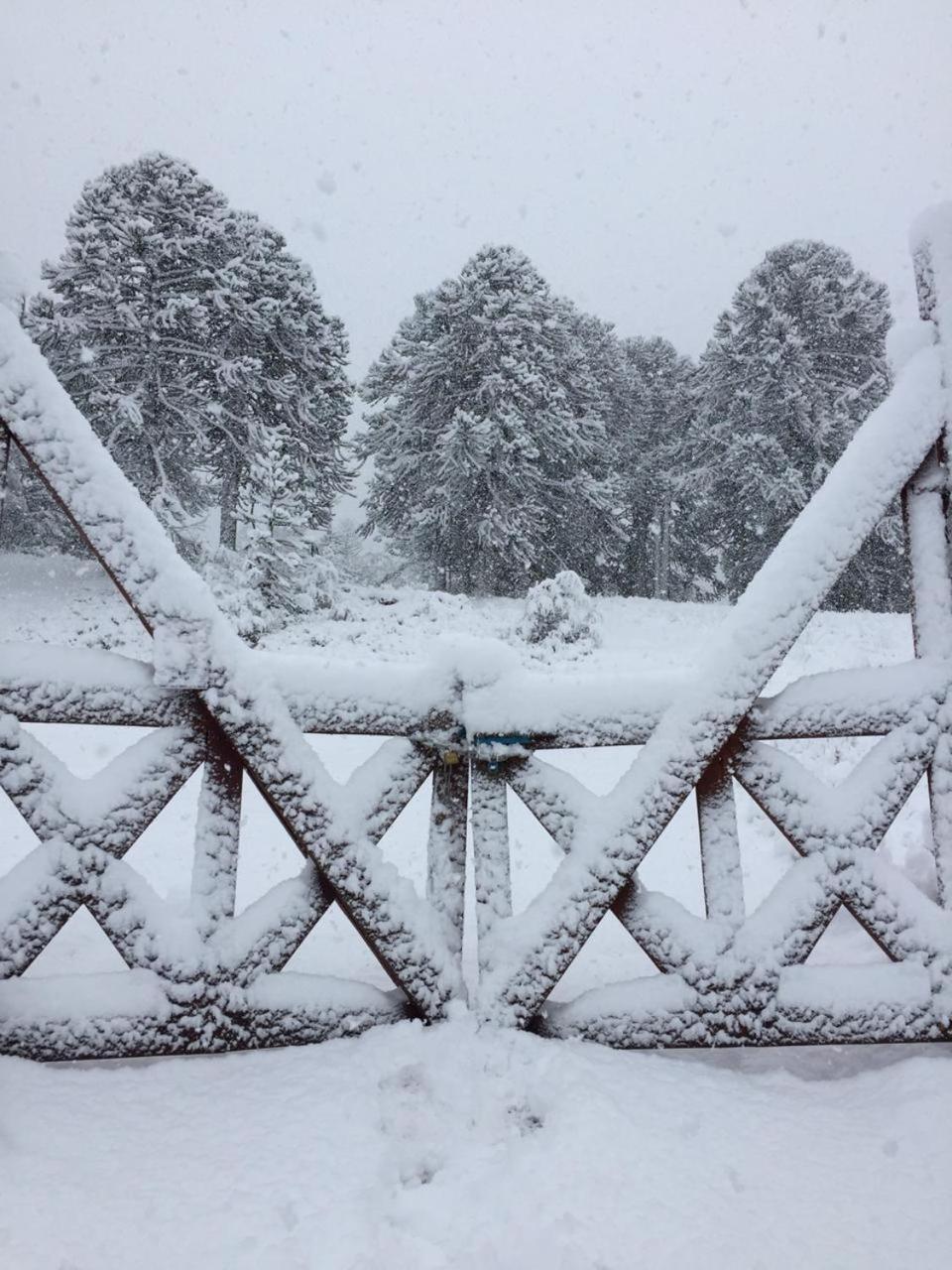 Malga Andina