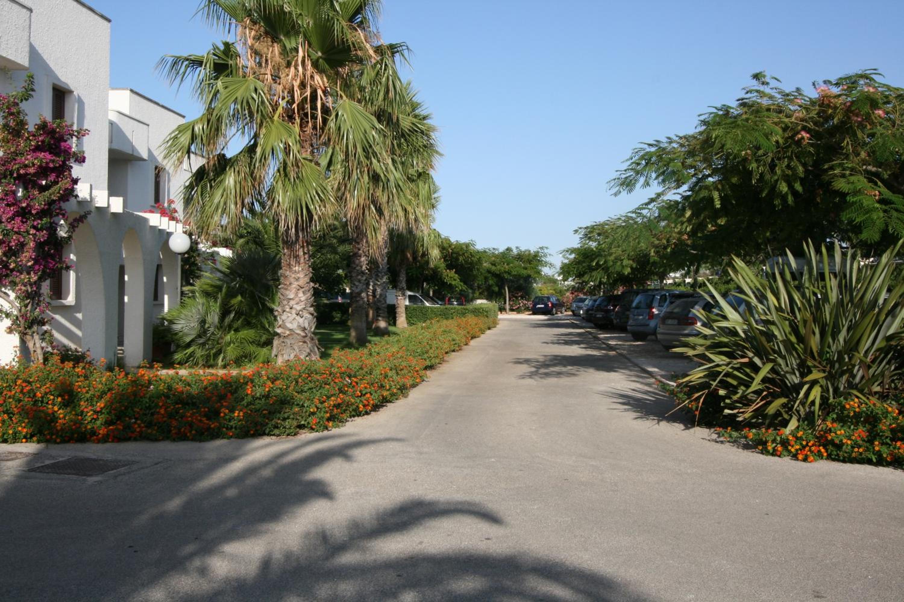 Photo 43