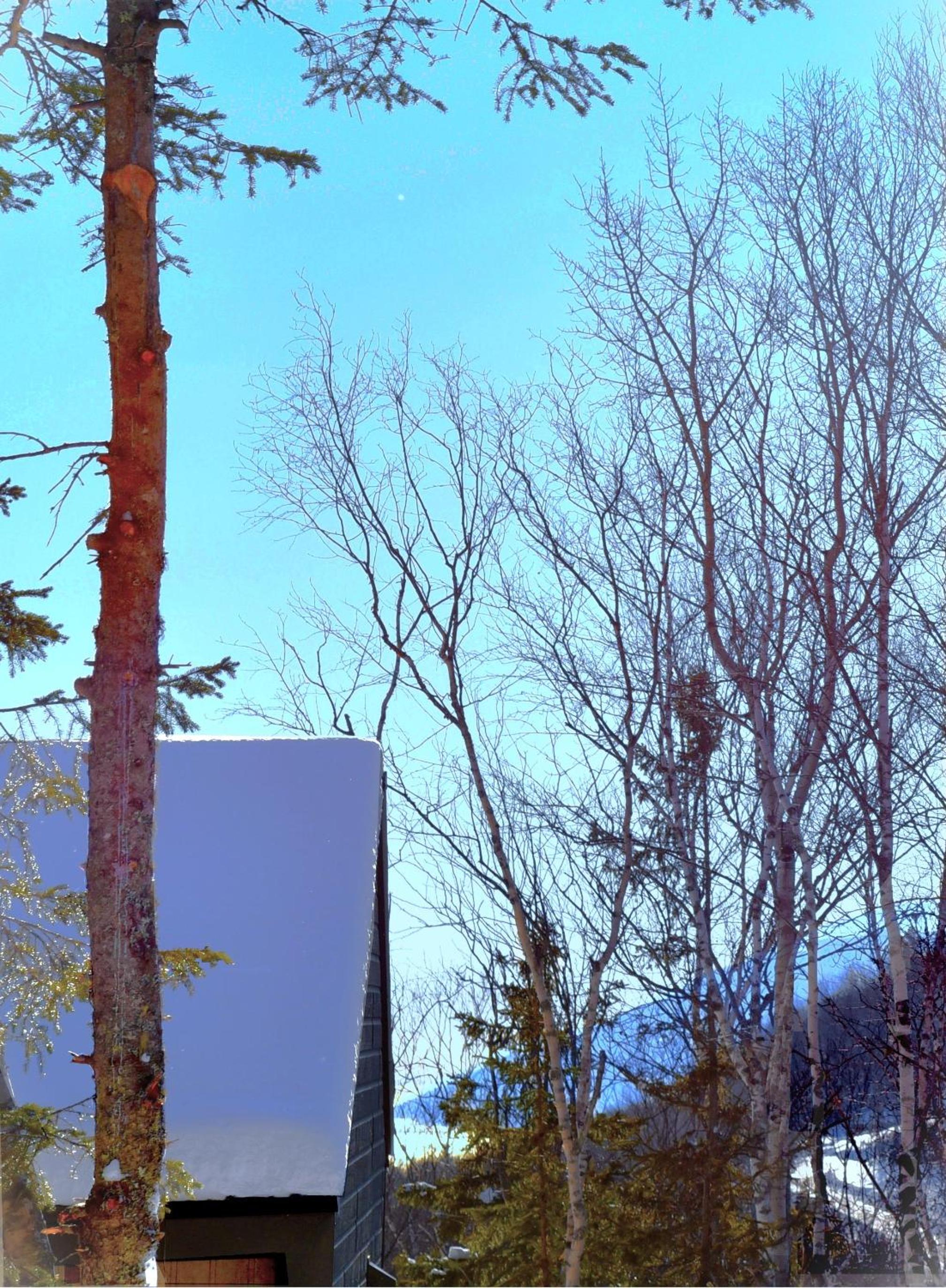 Charlevoix expérience thermale en pleine nature - Suites Nature Charlevoix - Suite #2