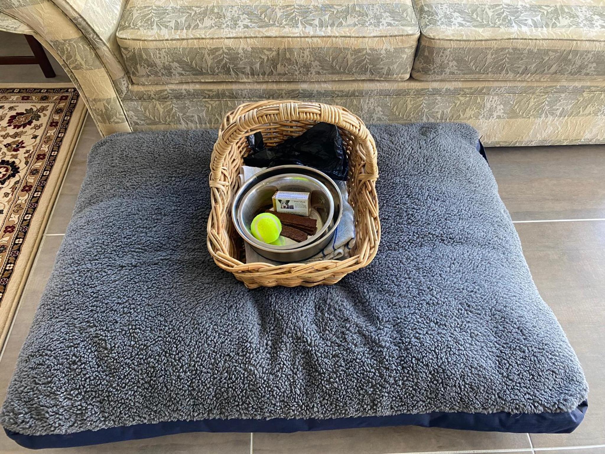 Camellia Cottage Pet Friendly Farm Stay