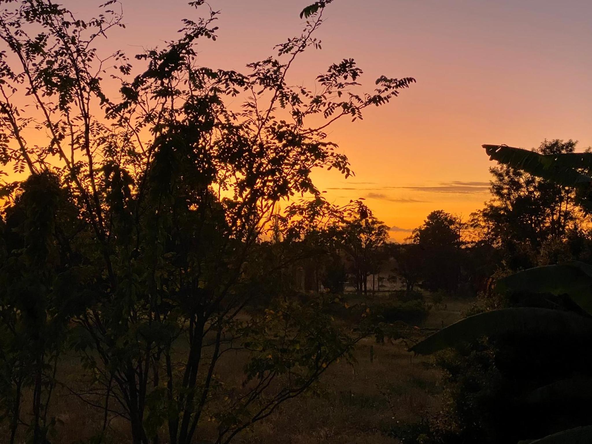Camellia Cottage Pet Friendly Farm Stay