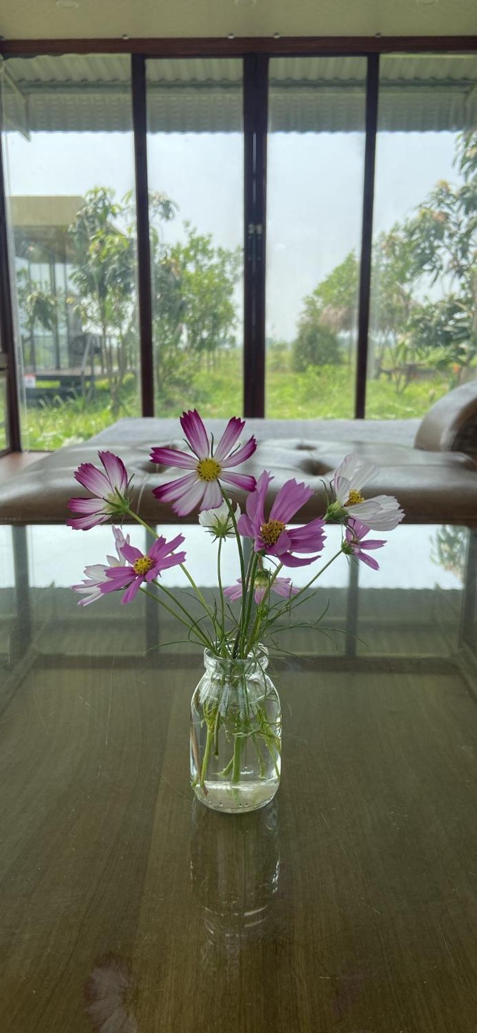 NHÀ VIỆT Homestay view 5