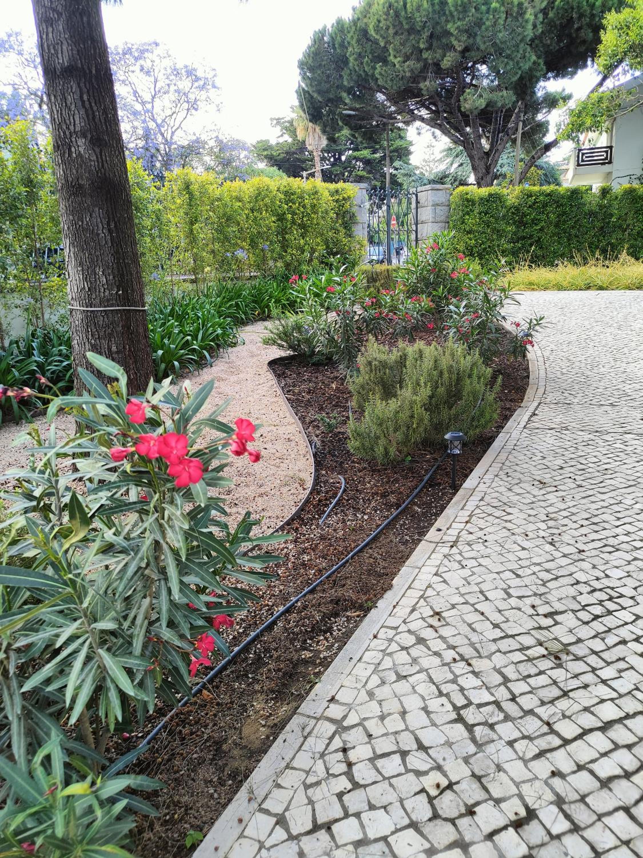 Photo 31