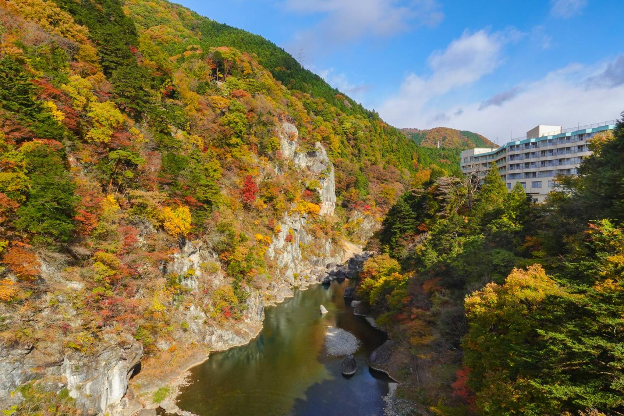 Hotel Sunshine Kinugawa