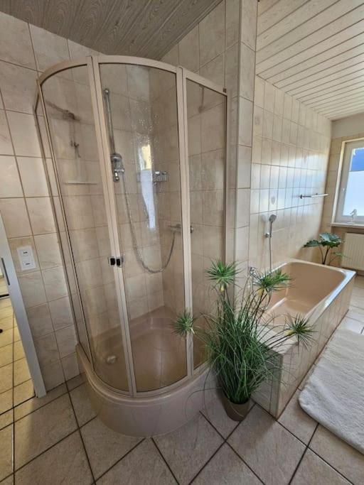 Ferienhaus Distelfink Gudensberg Urlaub in der Mitte von Deutschland