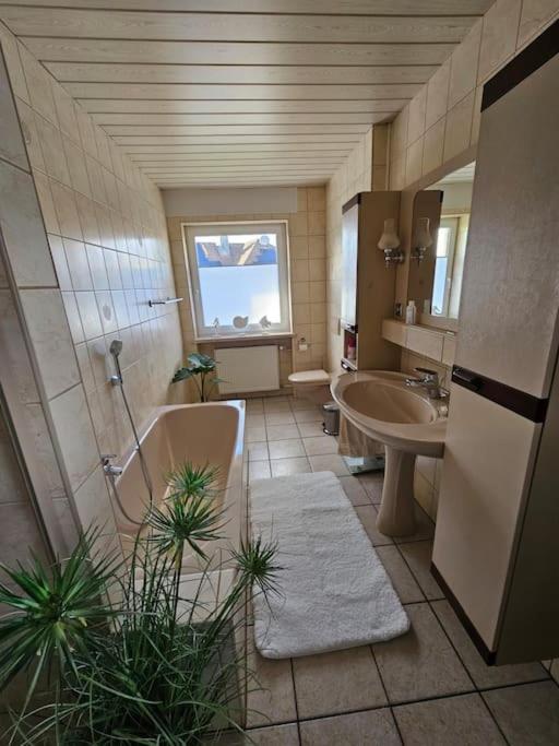 Ferienhaus Distelfink Gudensberg Urlaub in der Mitte von Deutschland