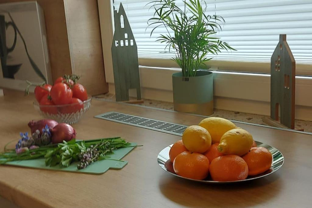 Ferienhaus Distelfink Gudensberg Urlaub in der Mitte von Deutschland